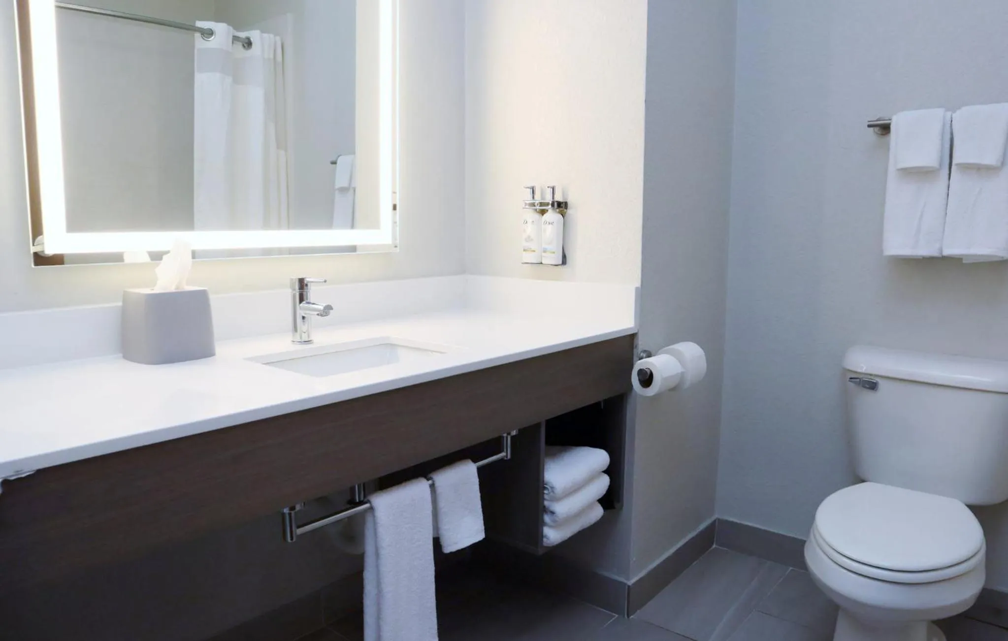 Standard Room in Holiday Inn Express Baton Rouge North by IHG