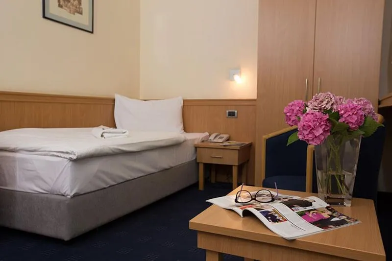 Standard Single Room in Hotel Tomislavov Dom