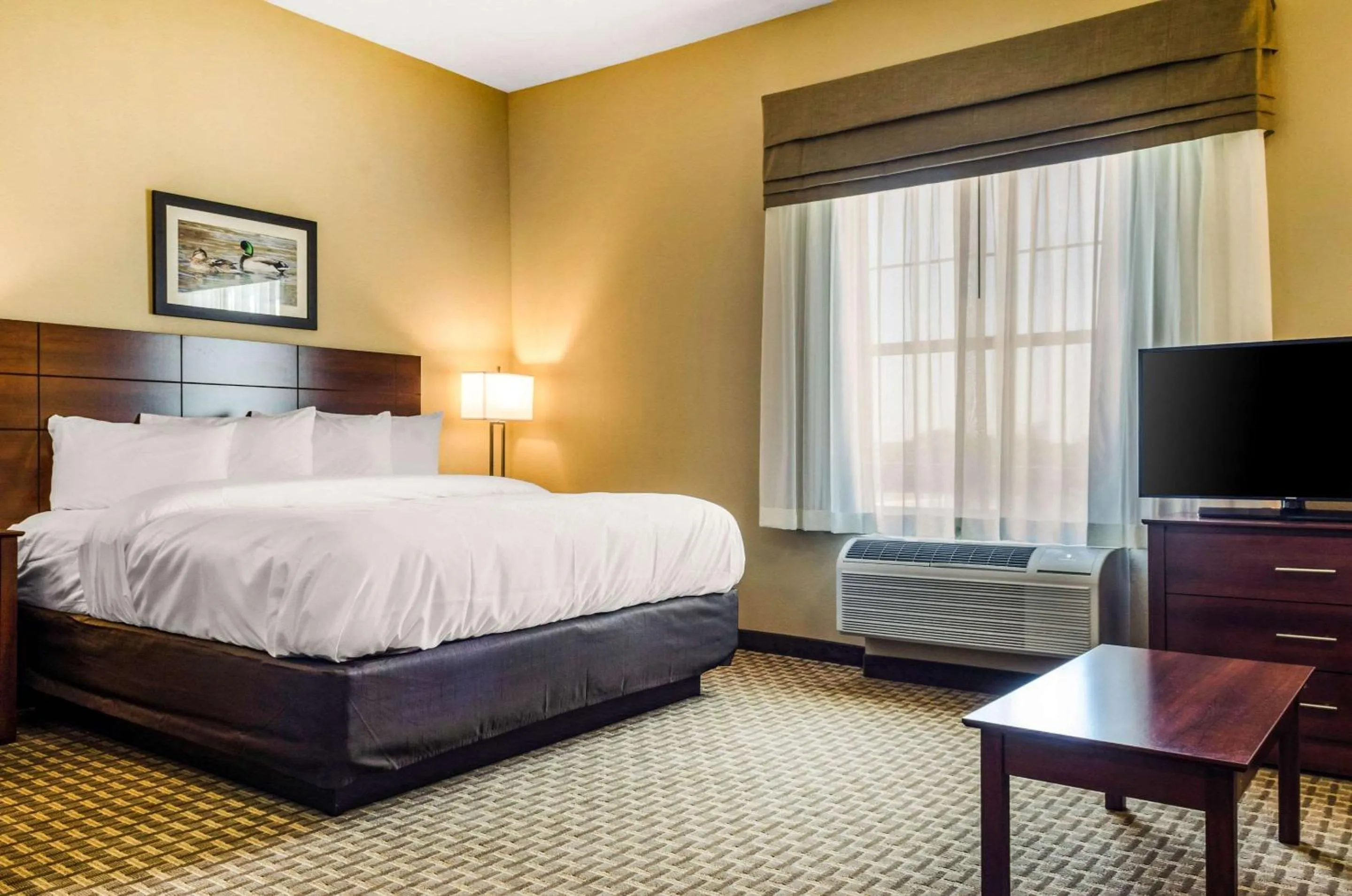 King Suite - Disability Access/Non-Smoking in MainStay Suites Hackberry Sportsman's Lodge