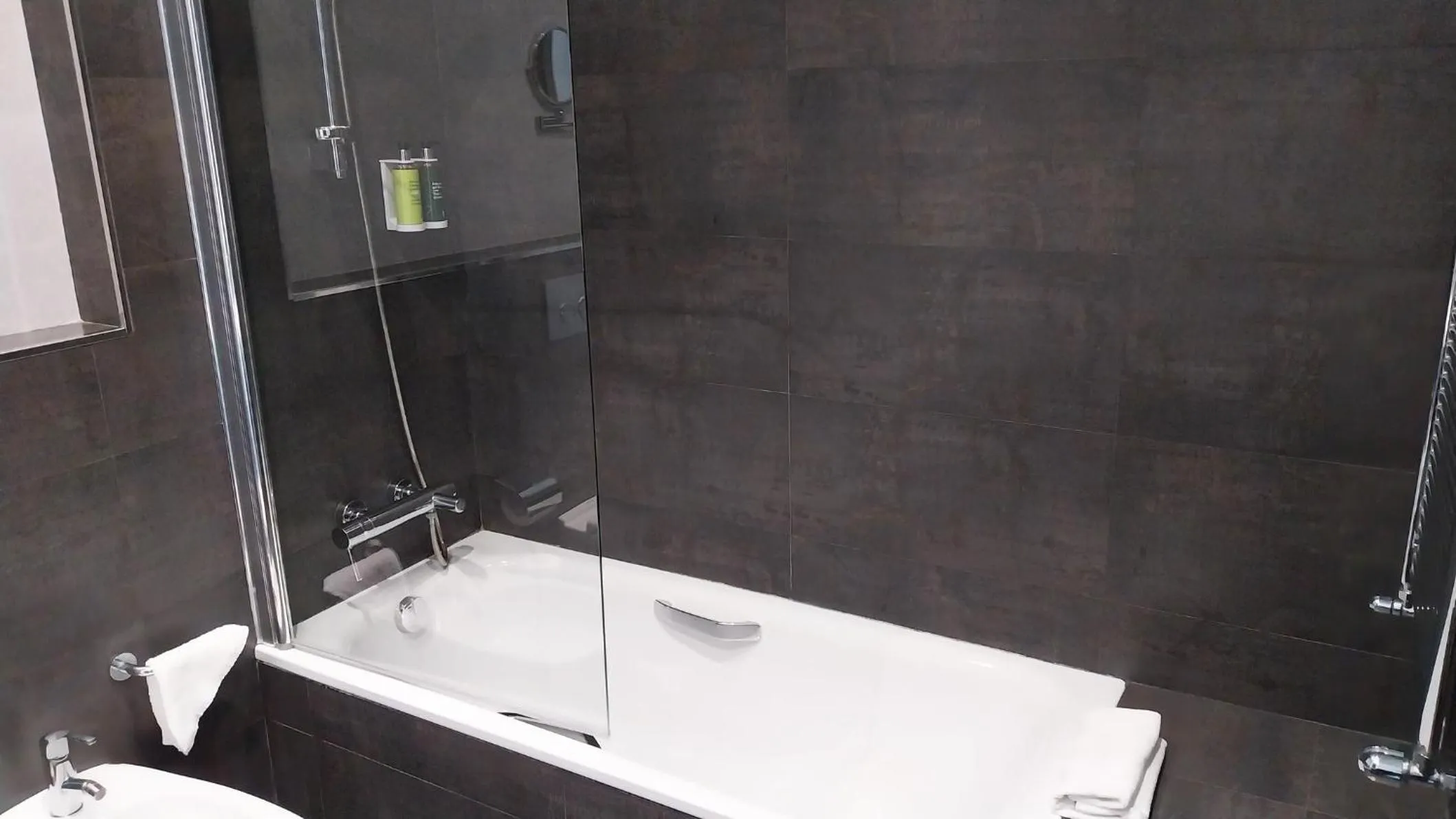 Superior Double or Twin Room in Sercotel Coliseo