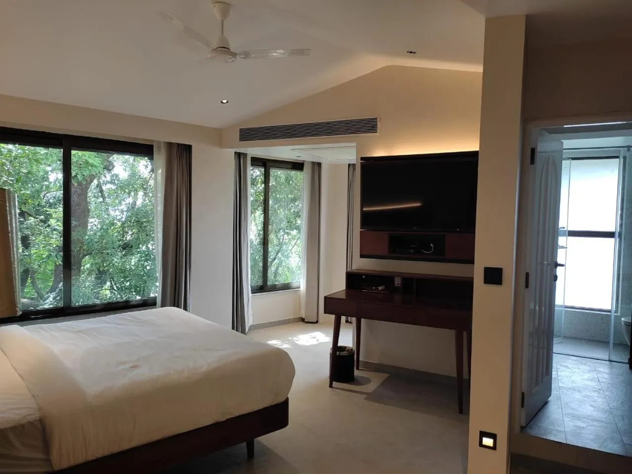 Premium Riverview King Room - single occupancy in The Crown Goa