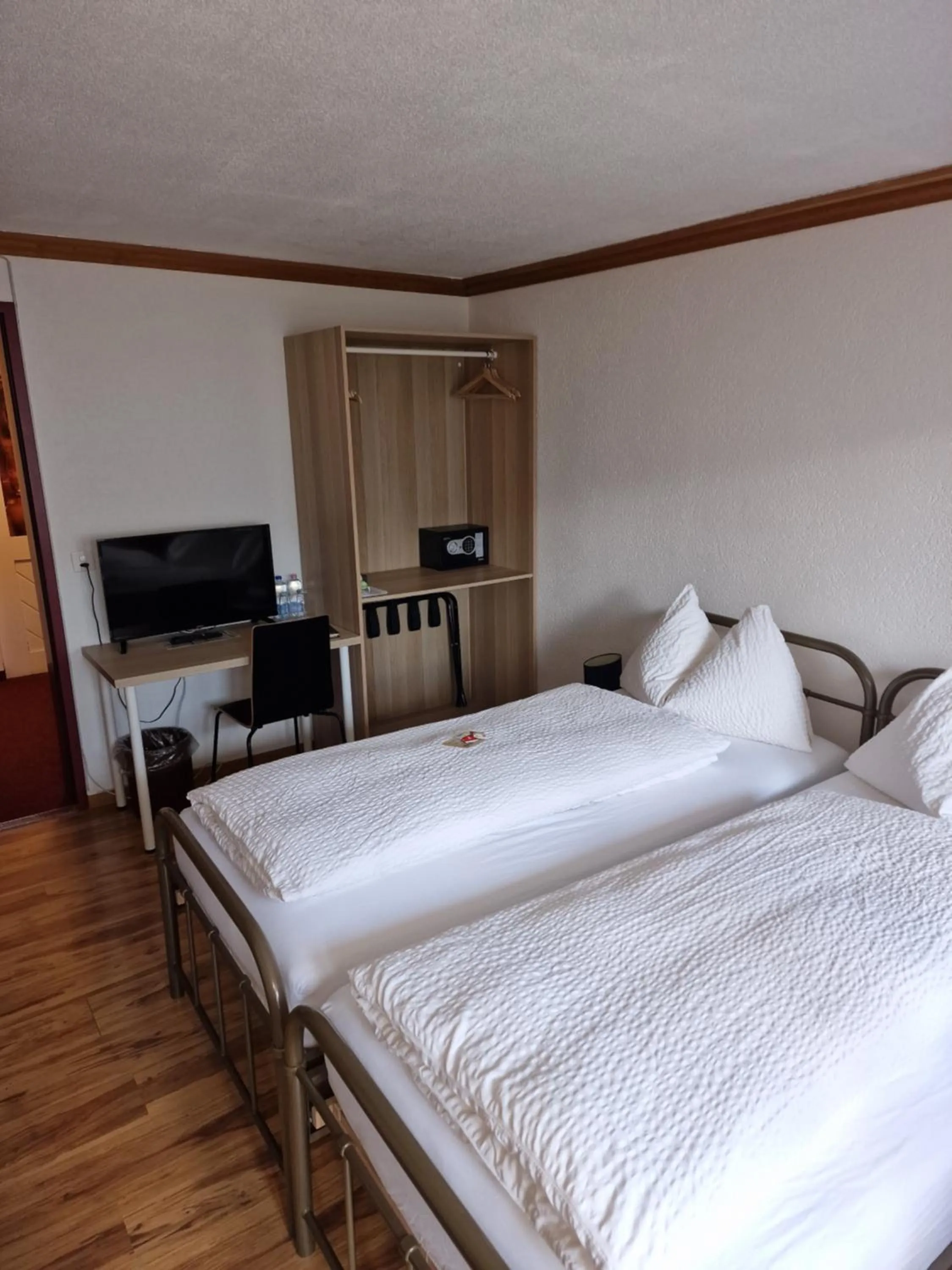 Twin Room in Hotel Alpha Thun