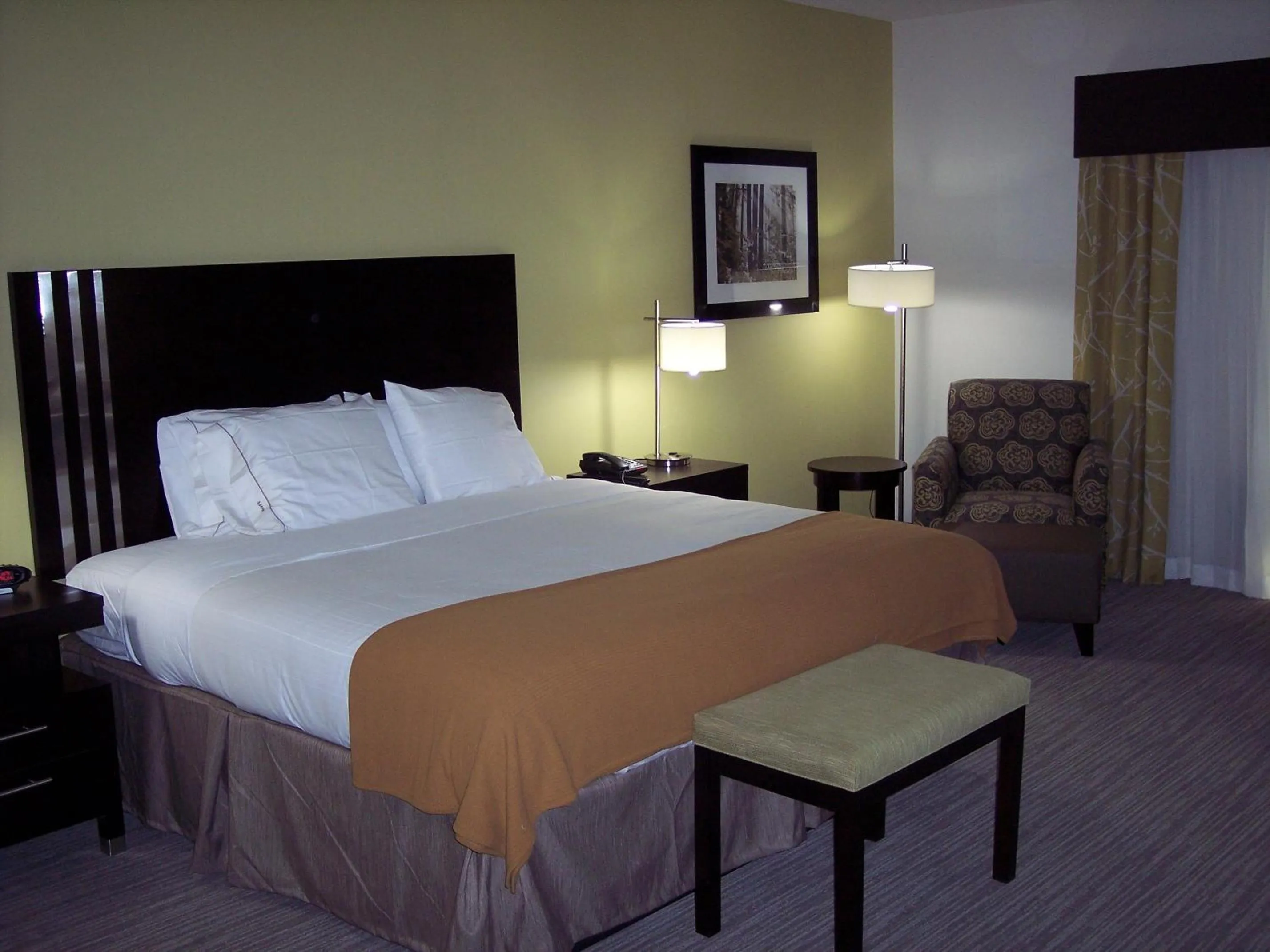 Standard King Room in Holiday Inn Express Conway by IHG