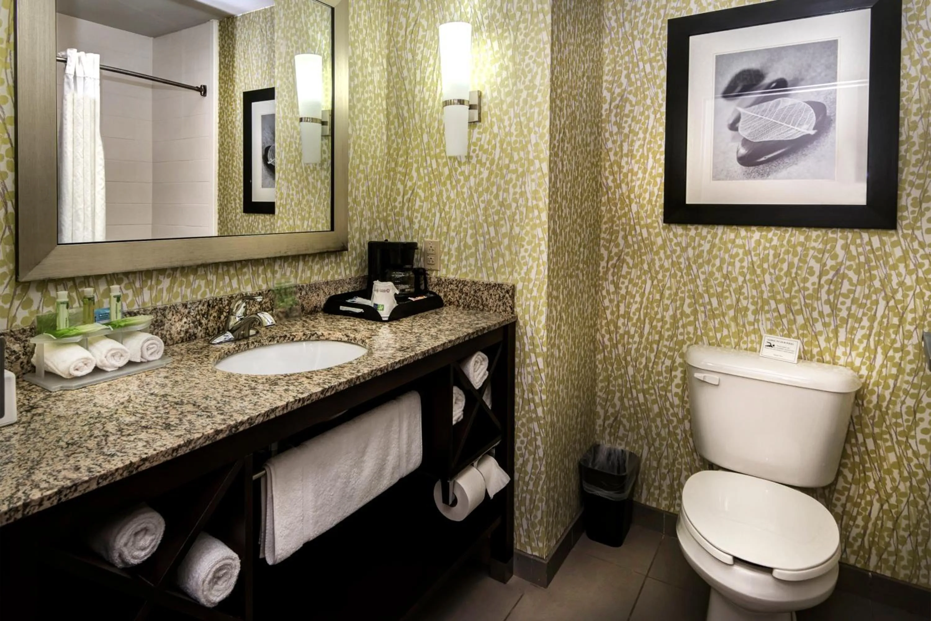 Queen Suite with Hearing Accessible Tub - Non-Smoking in Holiday Inn Express Conway by IHG