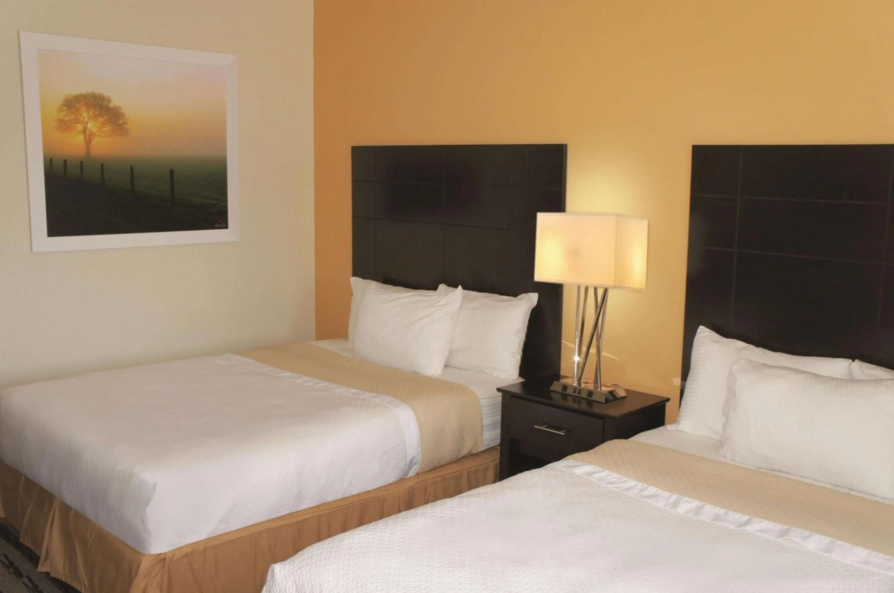 Queen Room with Two Queen Beds and Mobility/Hearing Access - Non-Smoking in La Quinta Inn by Wyndham Lincoln