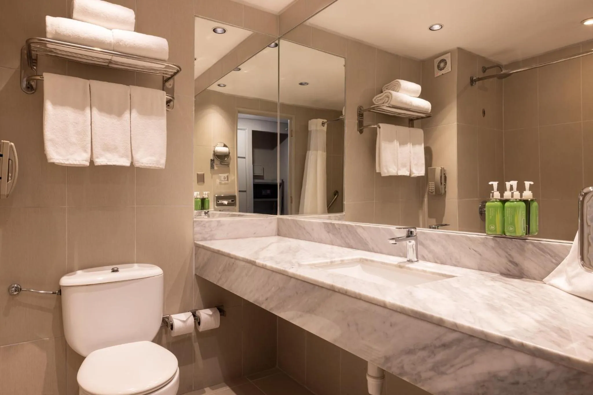 Standard Queen Room with Garden View  in Holiday Inn Express - Iquique, an IHG Hotel