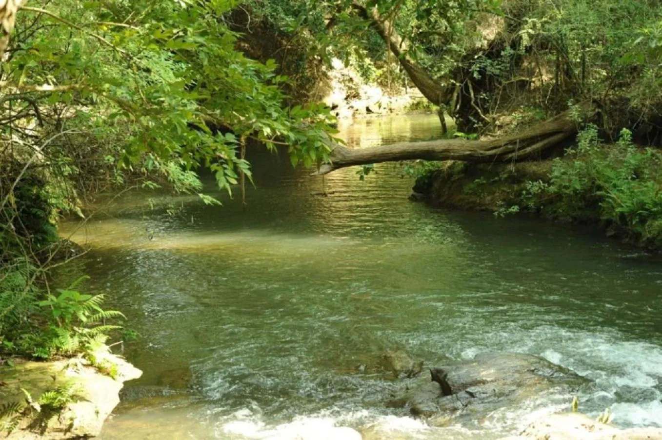 Double Room with Lake View in River Valley Resort