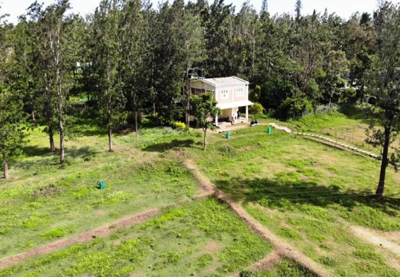 Quadruple Room in River Valley Resort