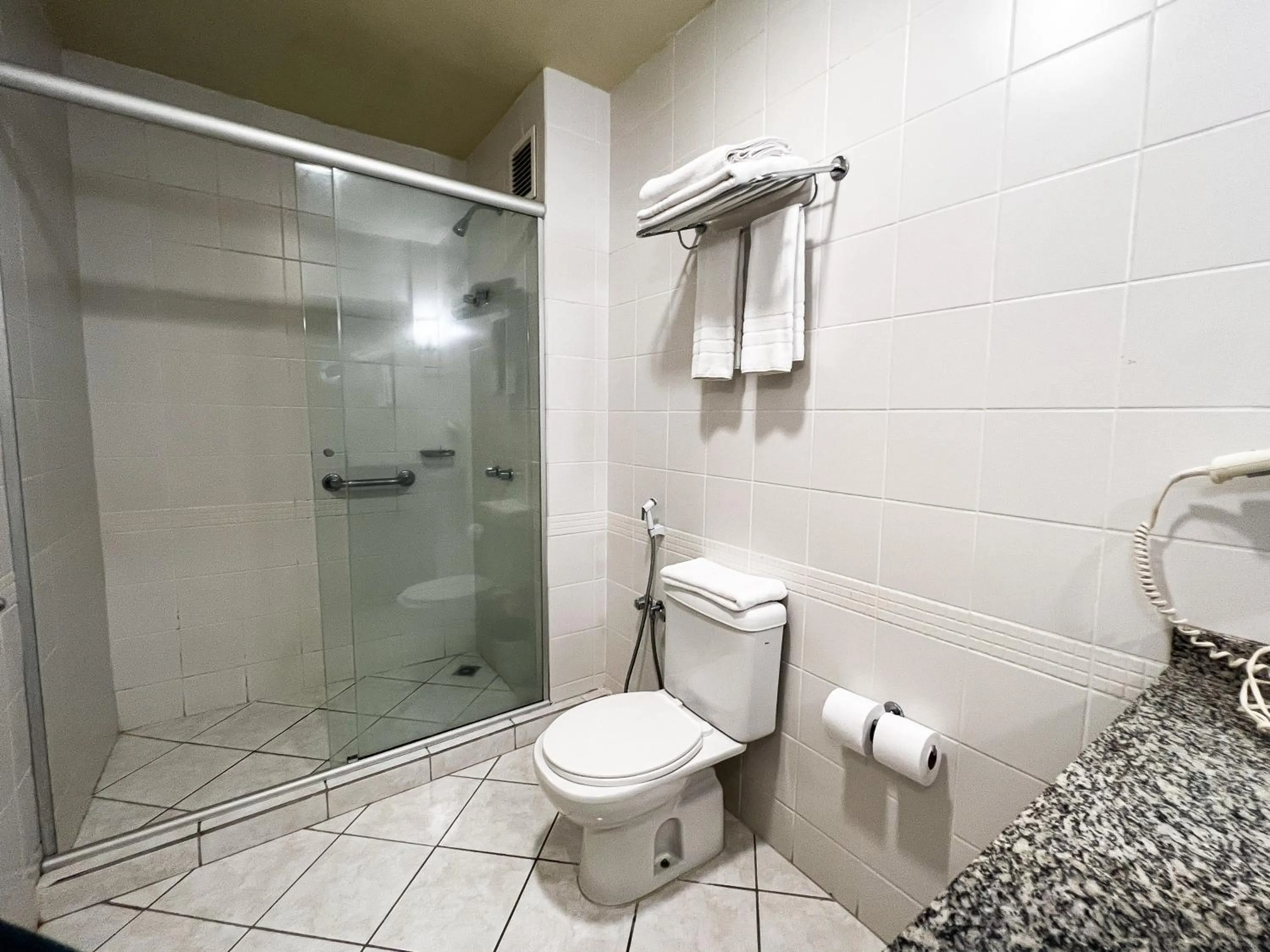 Executive Double Room in Master Curitiba Hotel - 1,6 km do Estádio Couto Pereira - Show