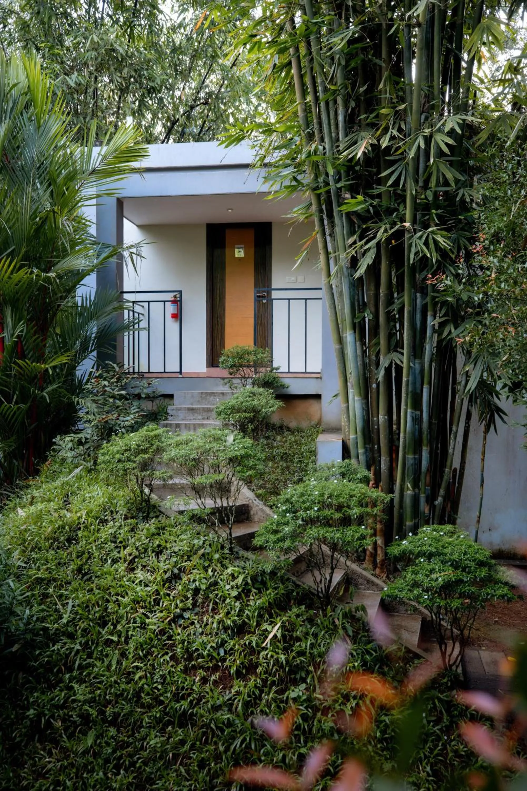 Deluxe Suite in Casa Rio Resorts Athirappilly