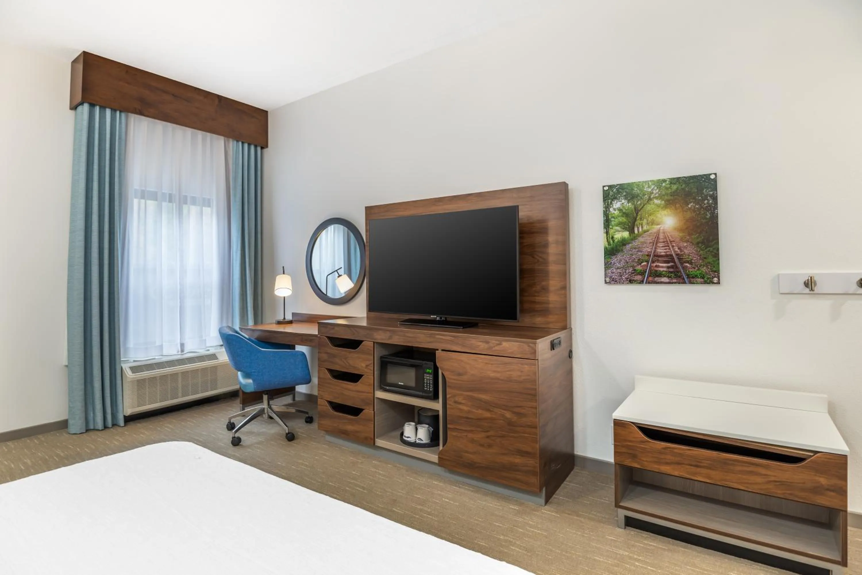 King Room with Roll-In Shower - Mobility and Hearing Access/Non-Smoking in Hampton Inn Petersburg-Fort Lee