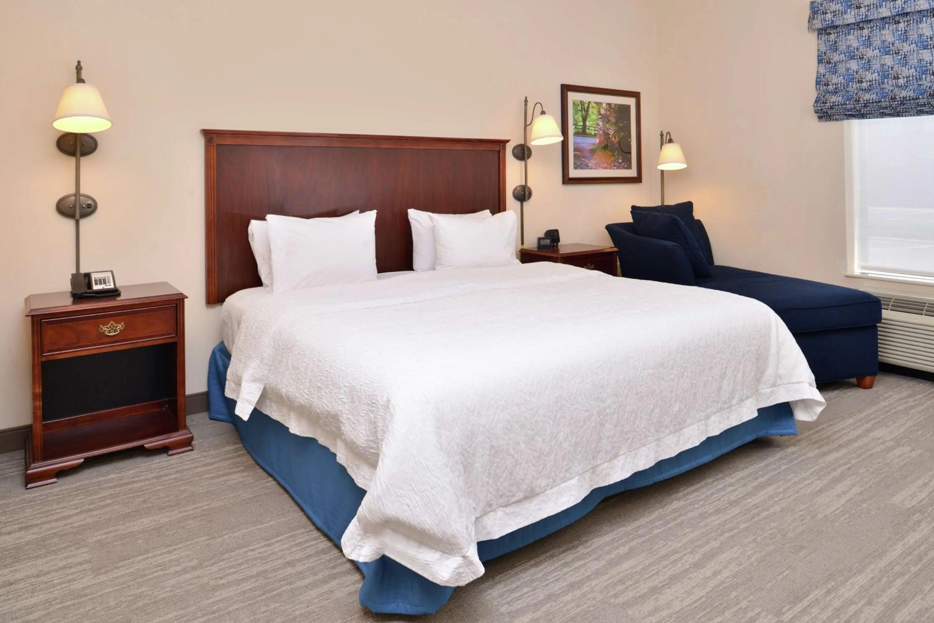 King Room with Tub - Mobility Access in Hampton Inn Harrisonburg South