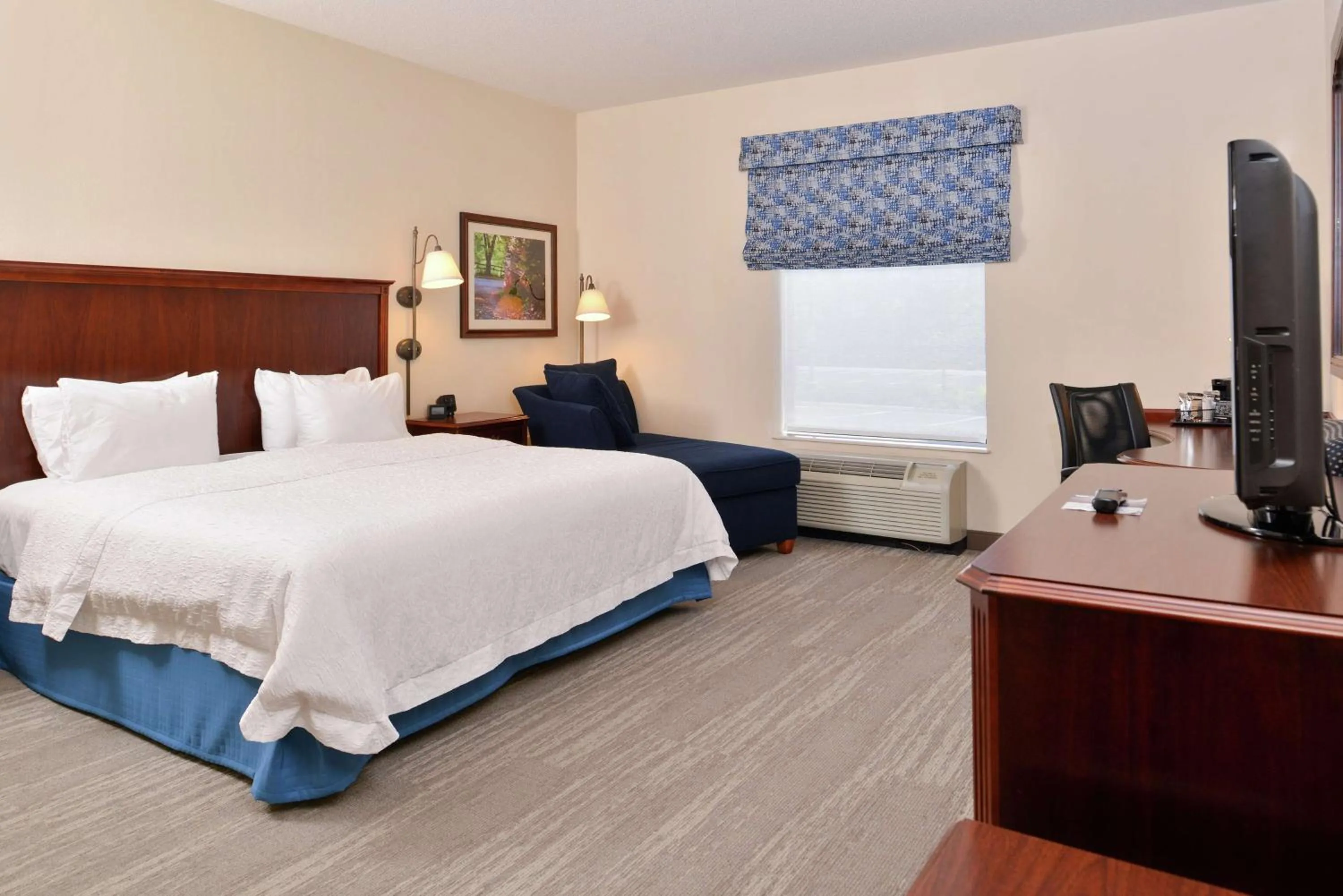 King Room in Hampton Inn Harrisonburg South