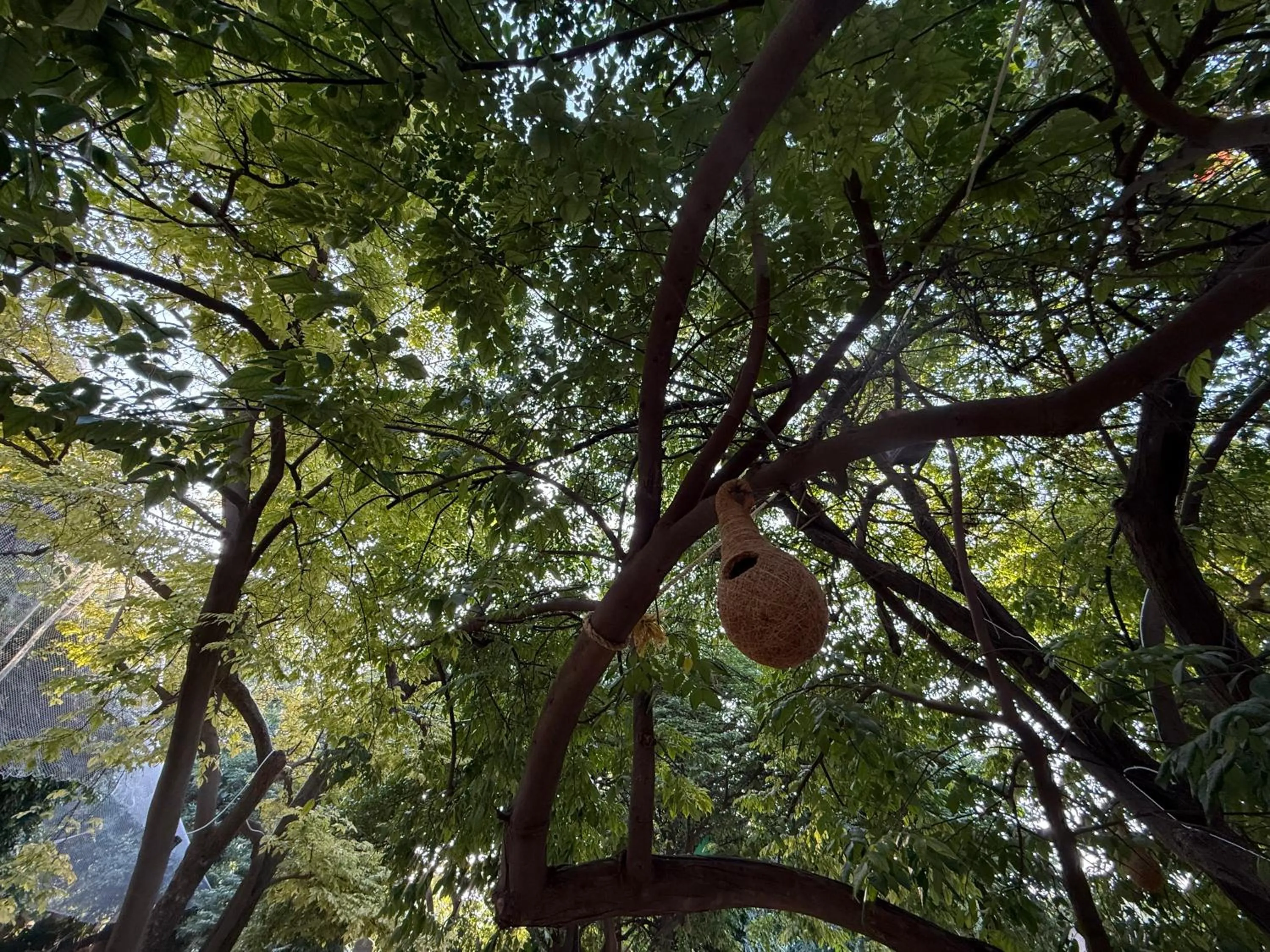 Apartment with Garden View in Hotel Green Heaven Resort