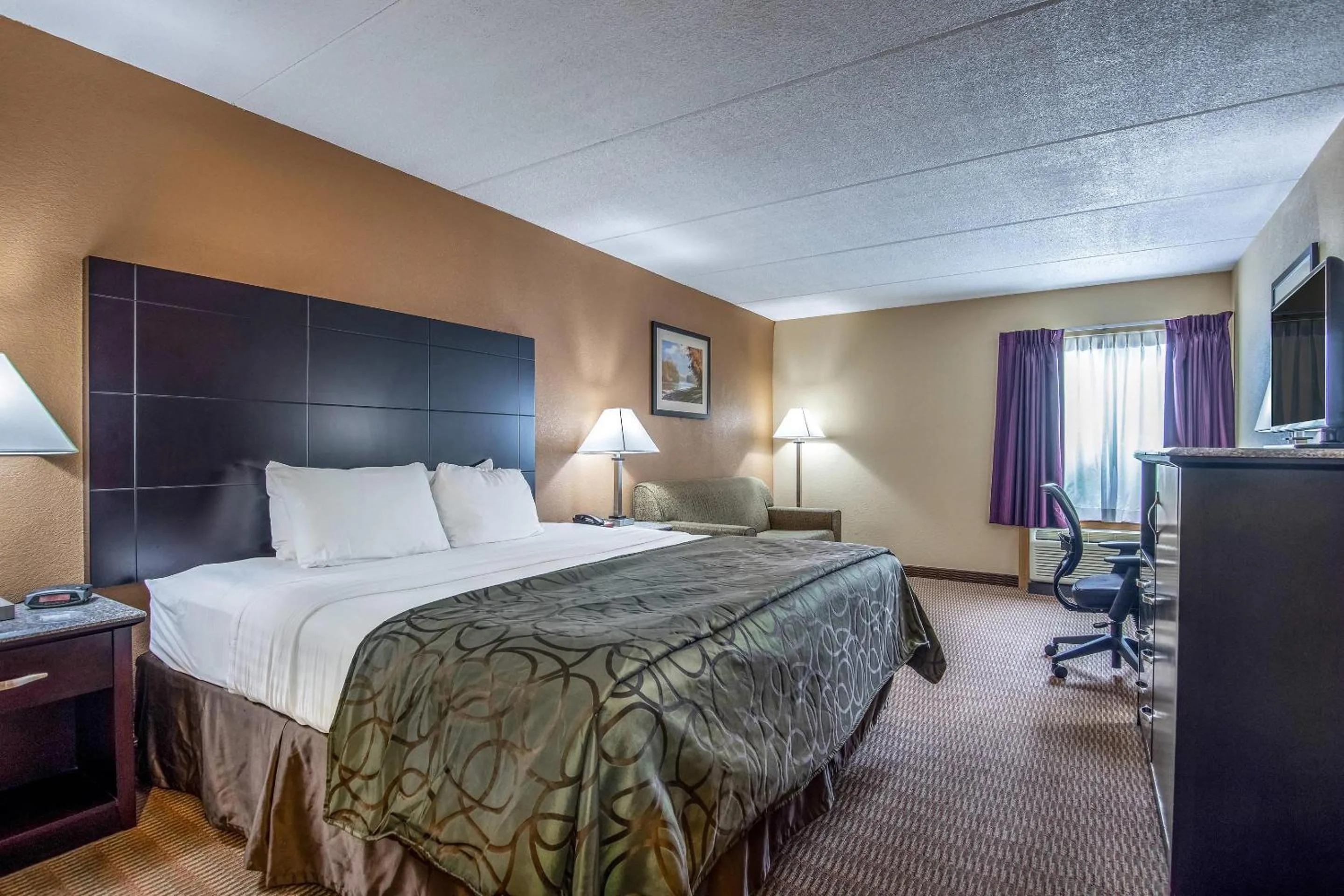 King Room - Non-Smoking in Quality Inn Tully I-81