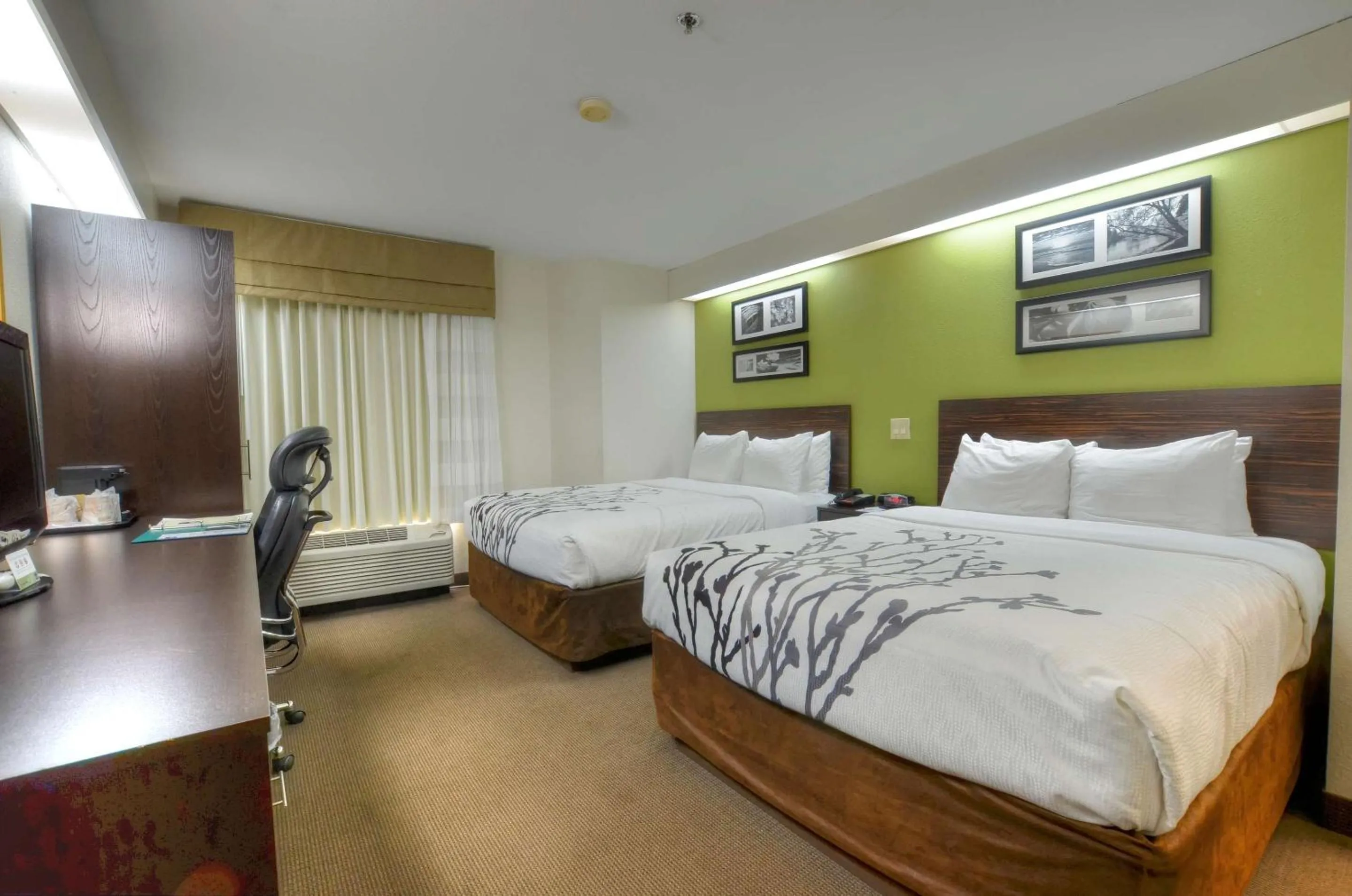 Queen Room with Two Queen Beds - Non-Smoking in Sleep Inn Bryson City - Cherokee Area