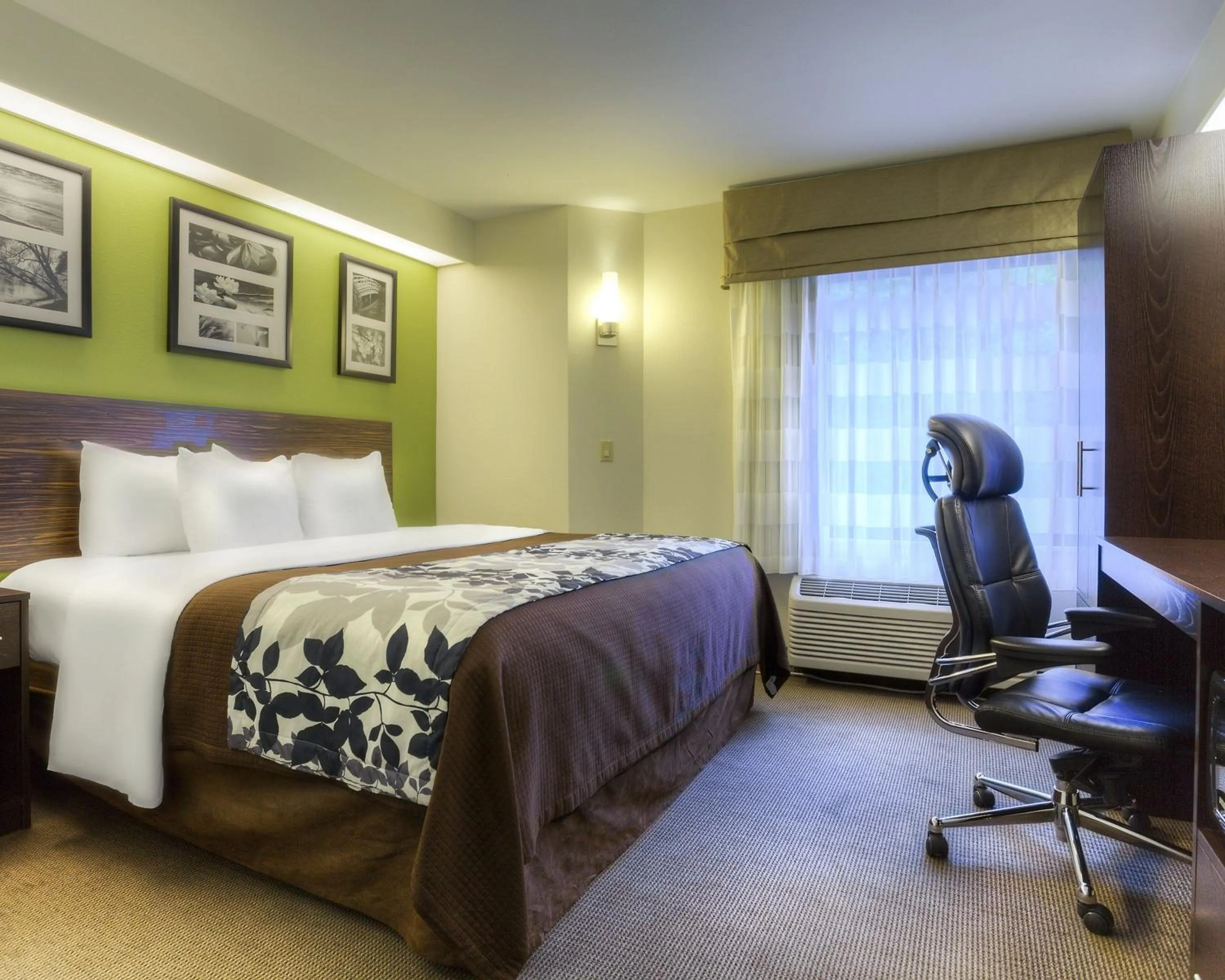 King Room - Disability Access/Non-Smoking in Sleep Inn Bryson City - Cherokee Area