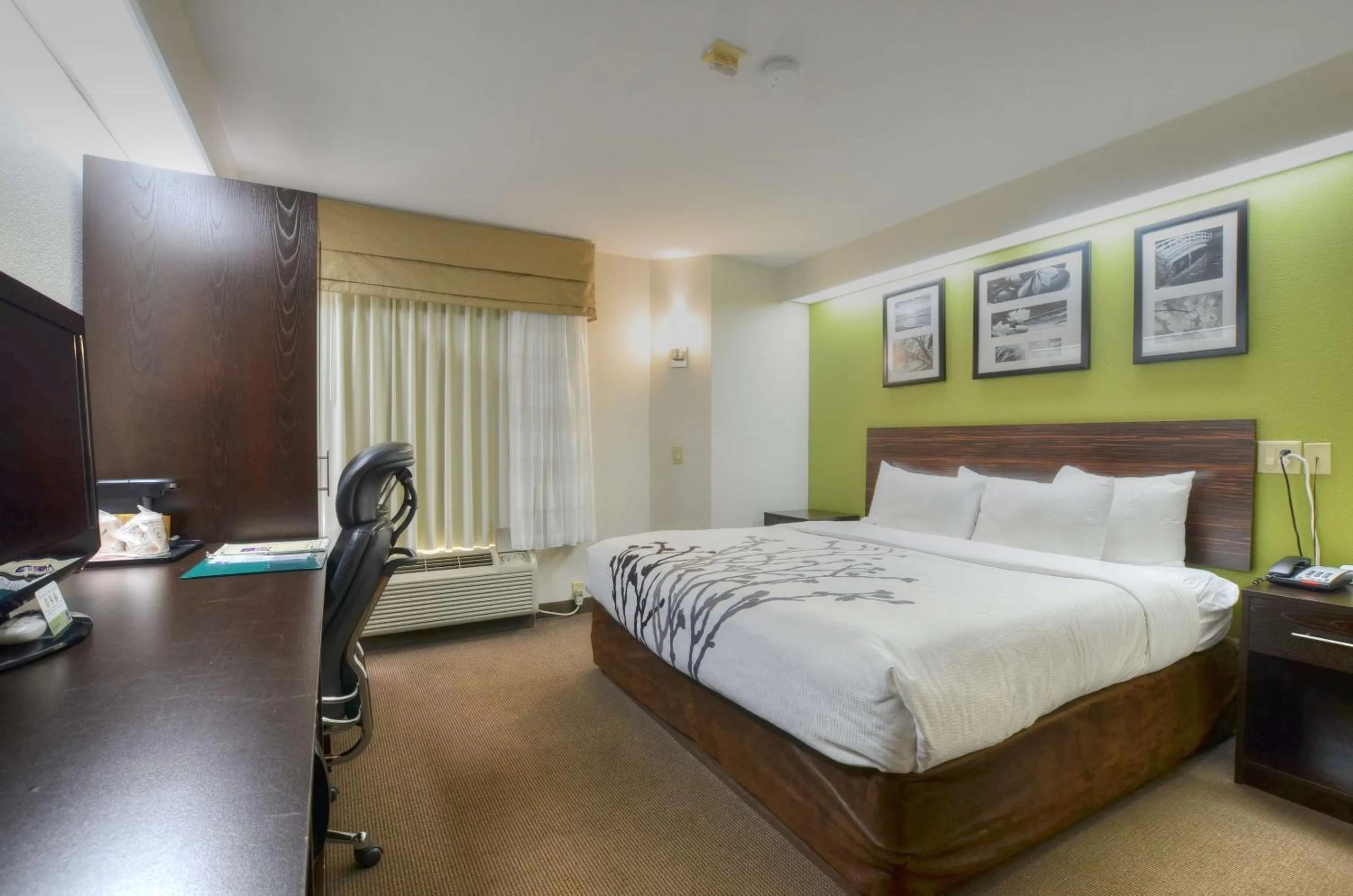 King Room in Sleep Inn Bryson City - Cherokee Area