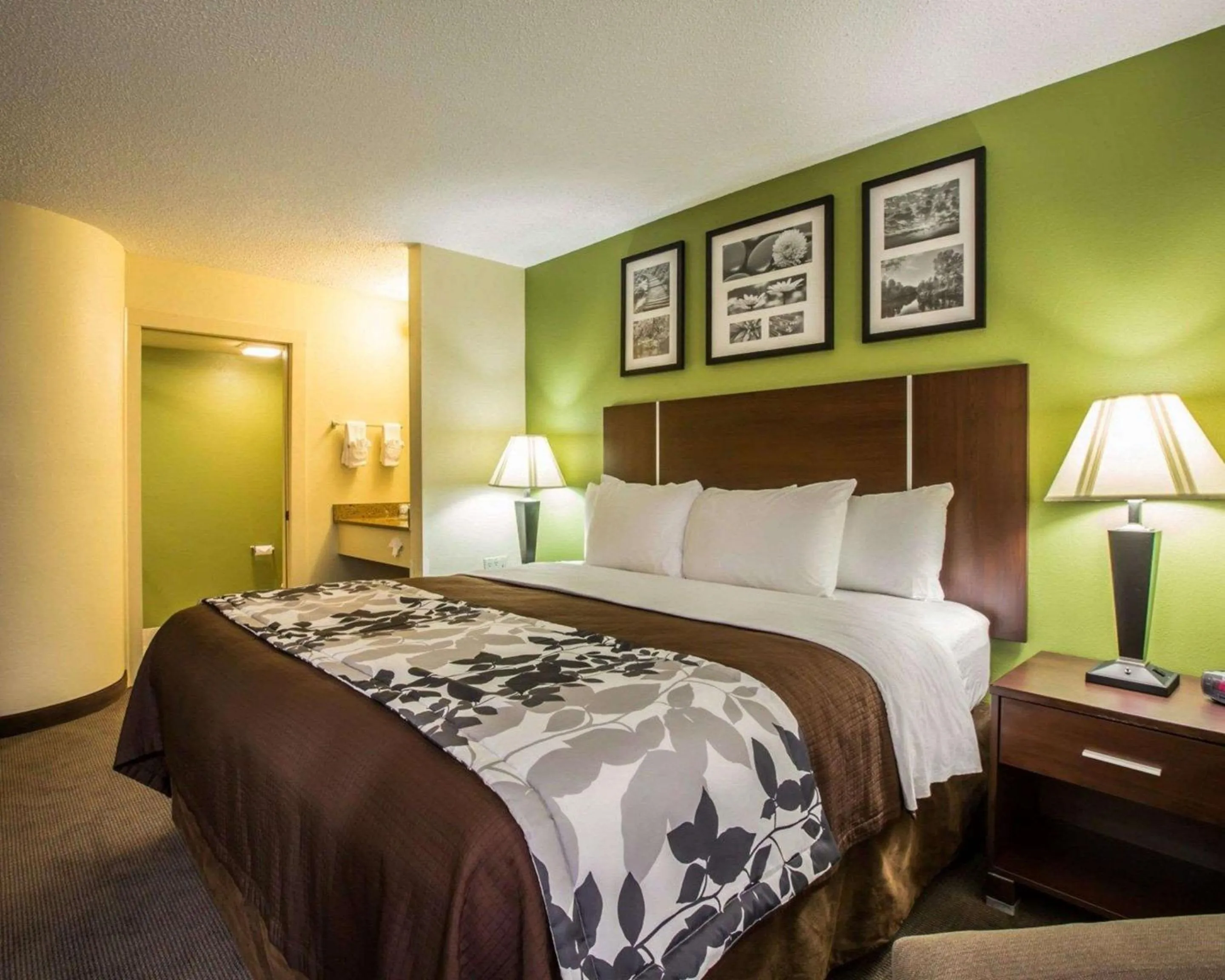 King Room - Non-Smoking in Sleep Inn Asheville - Biltmore West