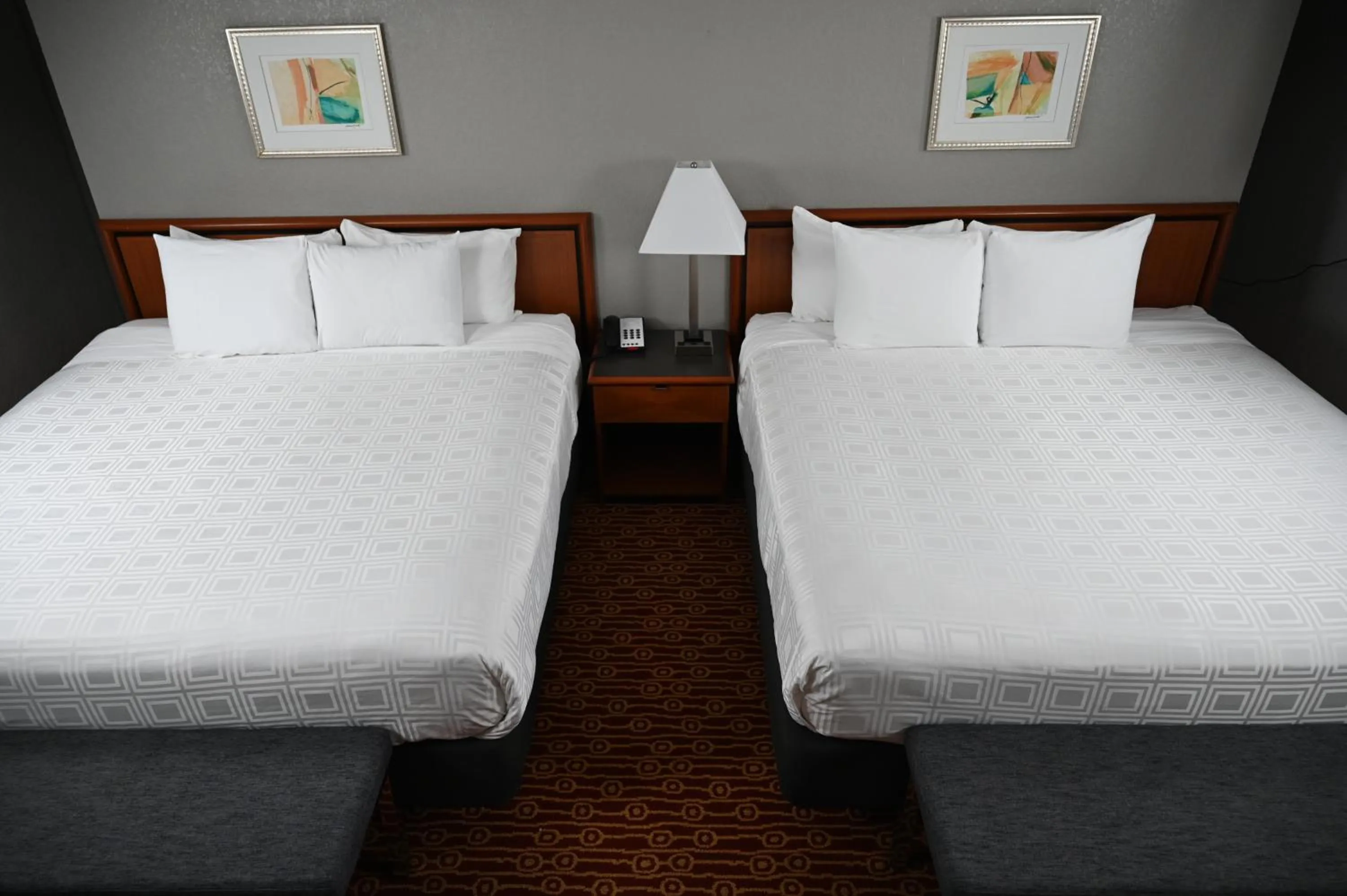 Deluxe King Suite in Atrium Hotel and Suites DFW Airport