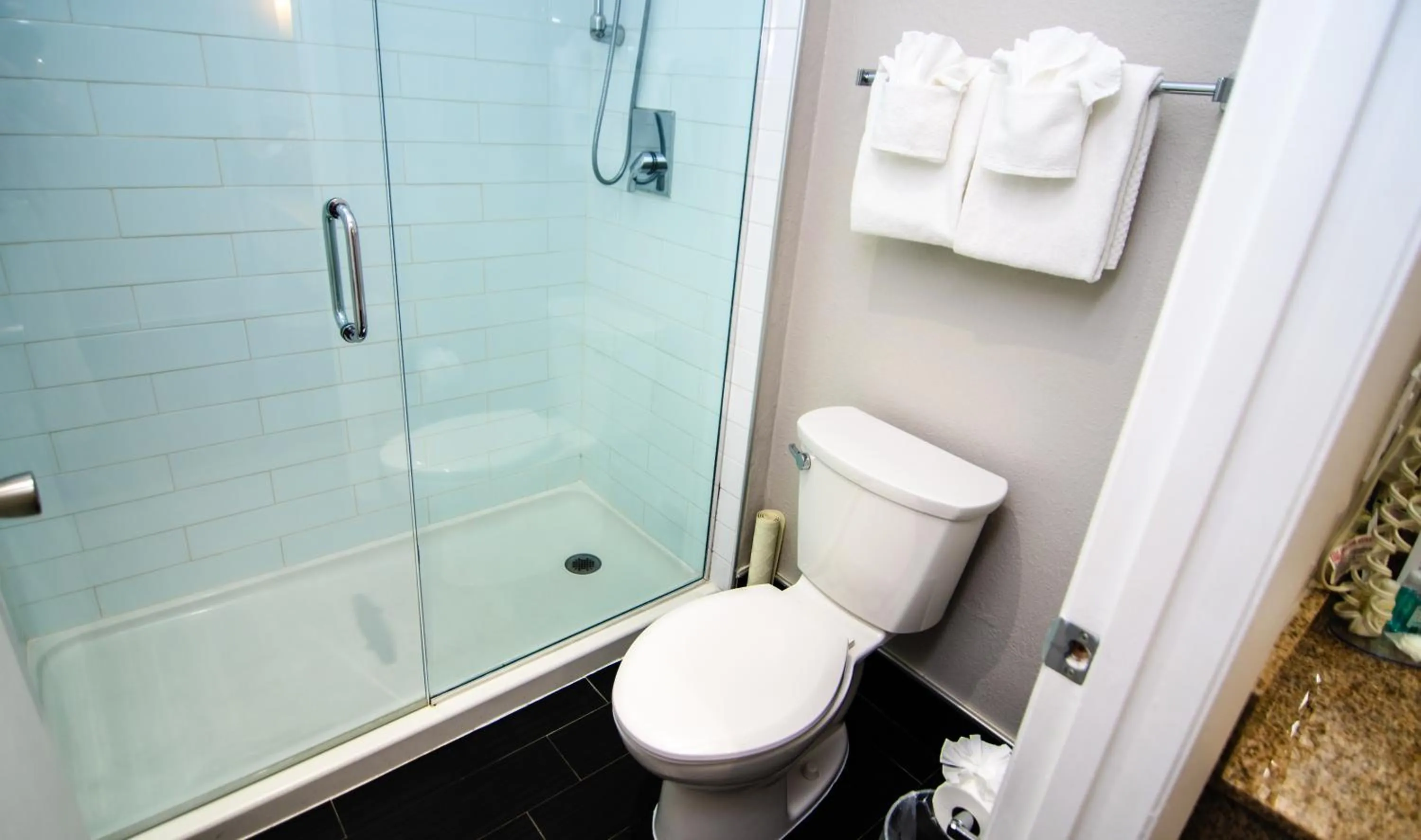 Two Queen Beds Non Smoking in Quality Inn & Suites By the Parks