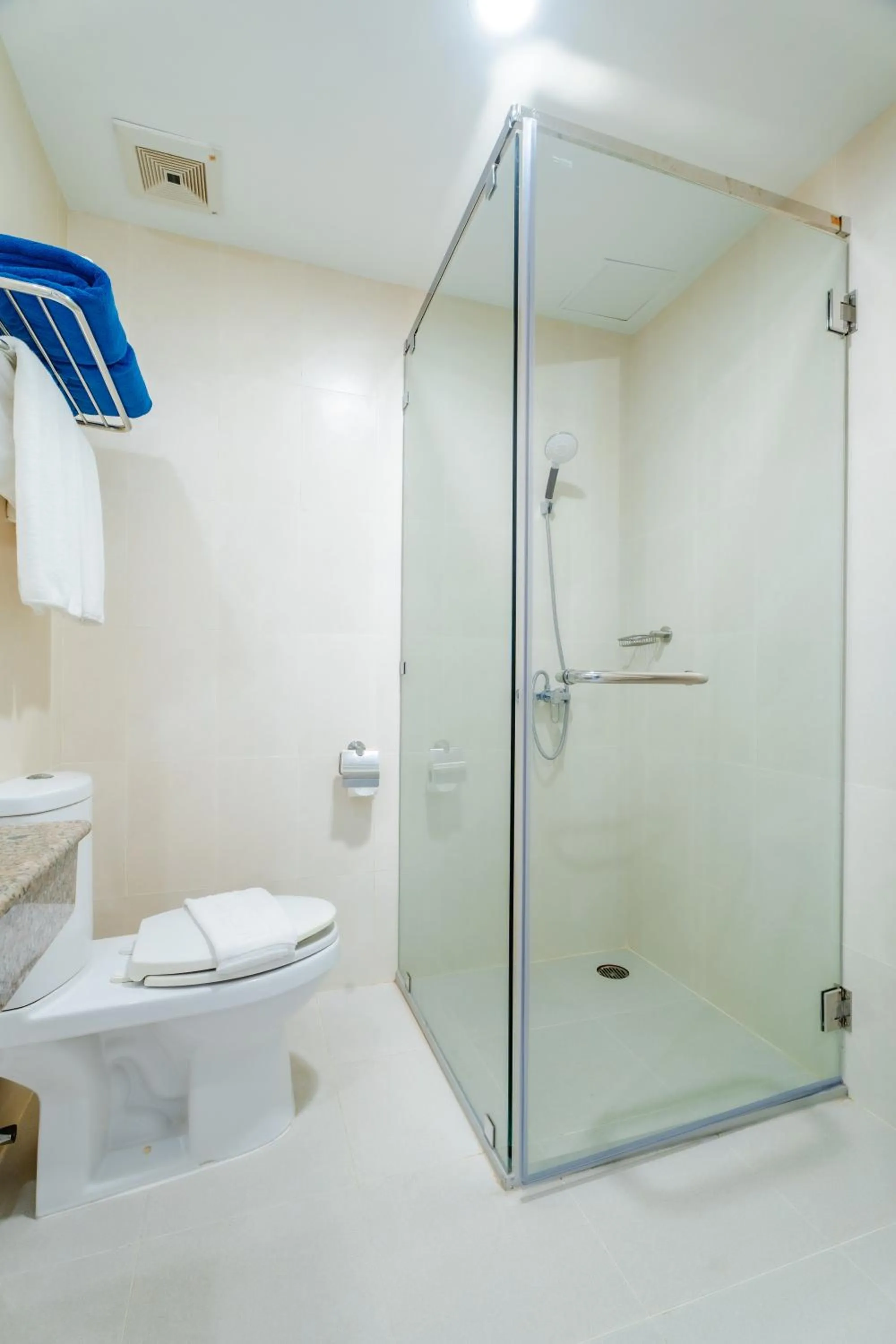 Deluxe Double or Twin Room in Baumancasa Beach Resort