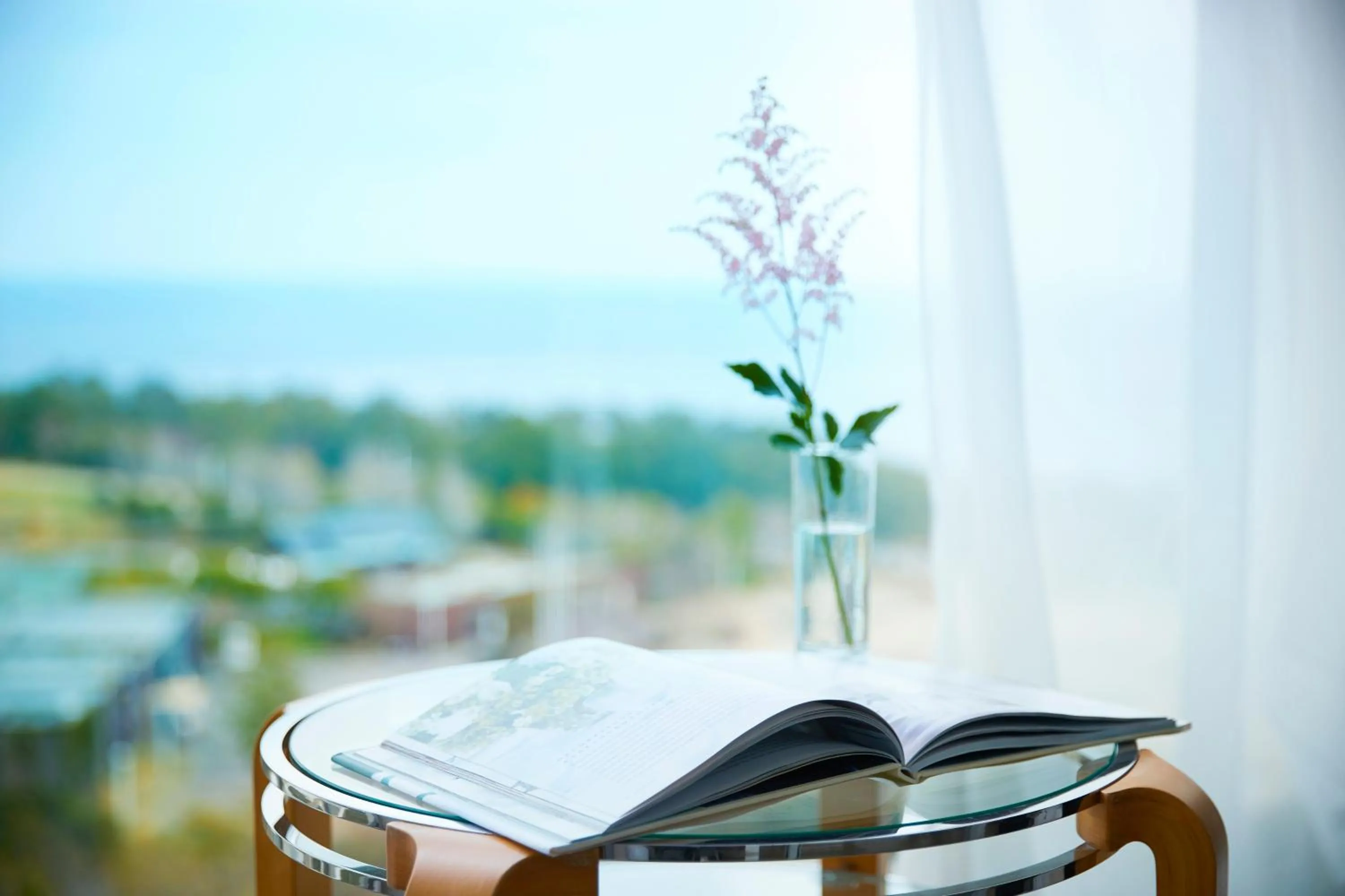 Deluxe King Room - single occupancy - Non-Smoking in GRAND NIKKO AWAJI