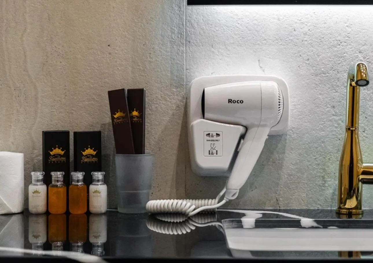 Premium Double Room - single occupancy in Kazakhstan Hotel