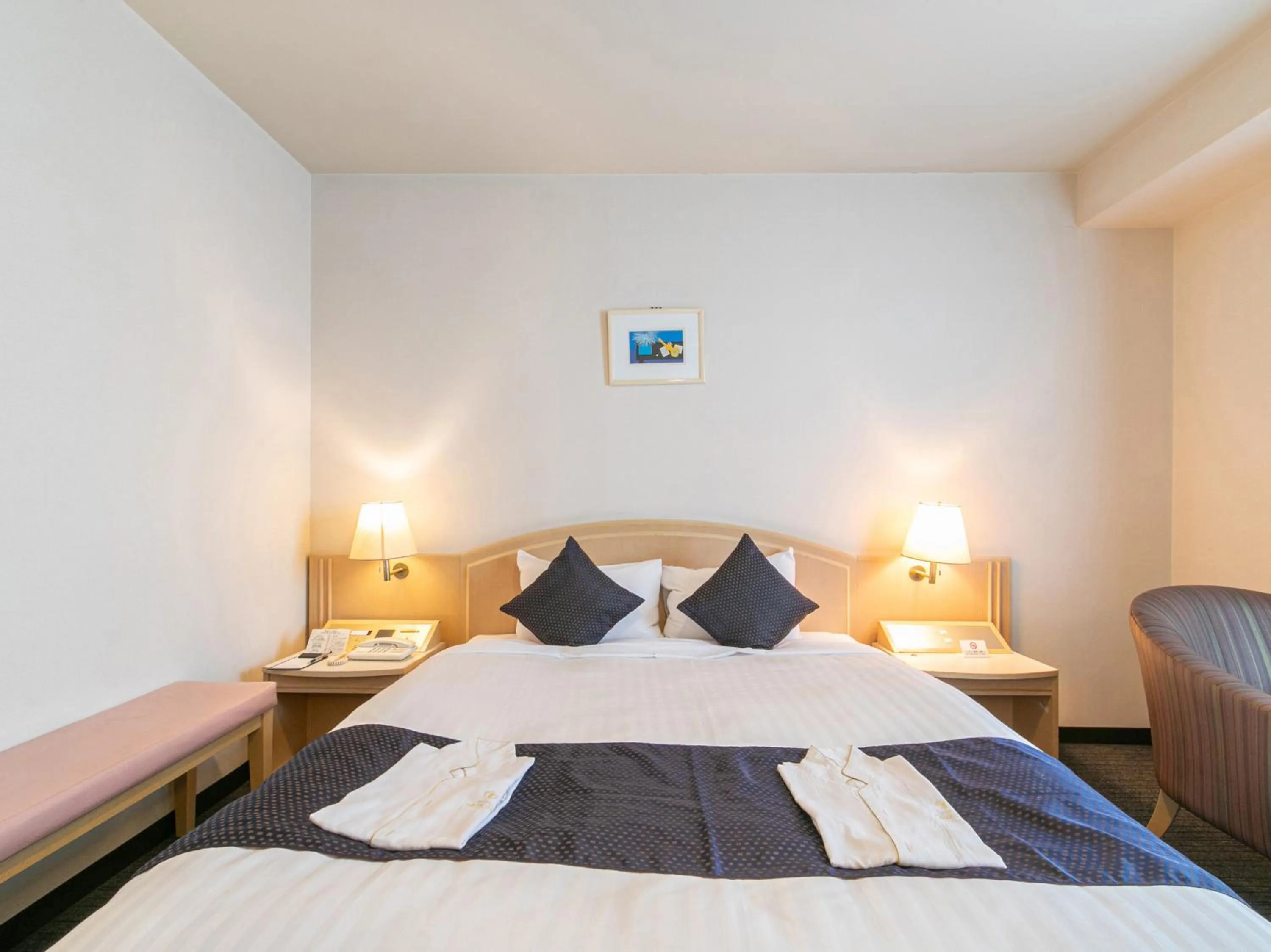 Superior Double Room - single occupancy in Hotel Verfort Hyuga