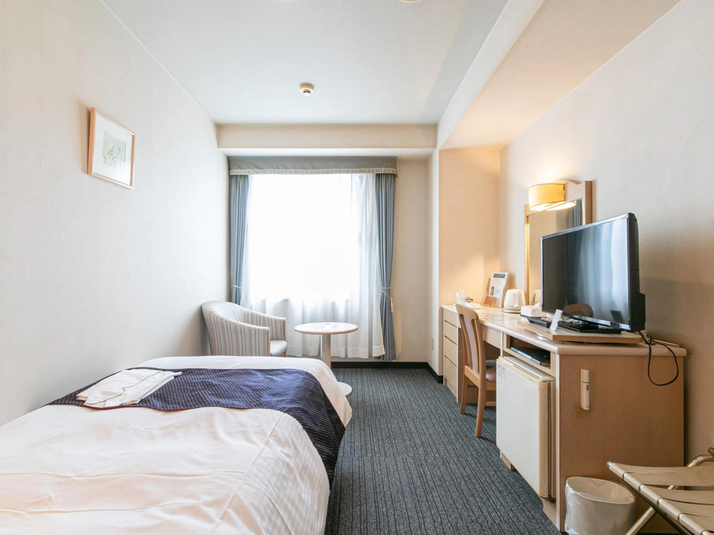 Single Room - Smoking in Hotel Verfort Hyuga