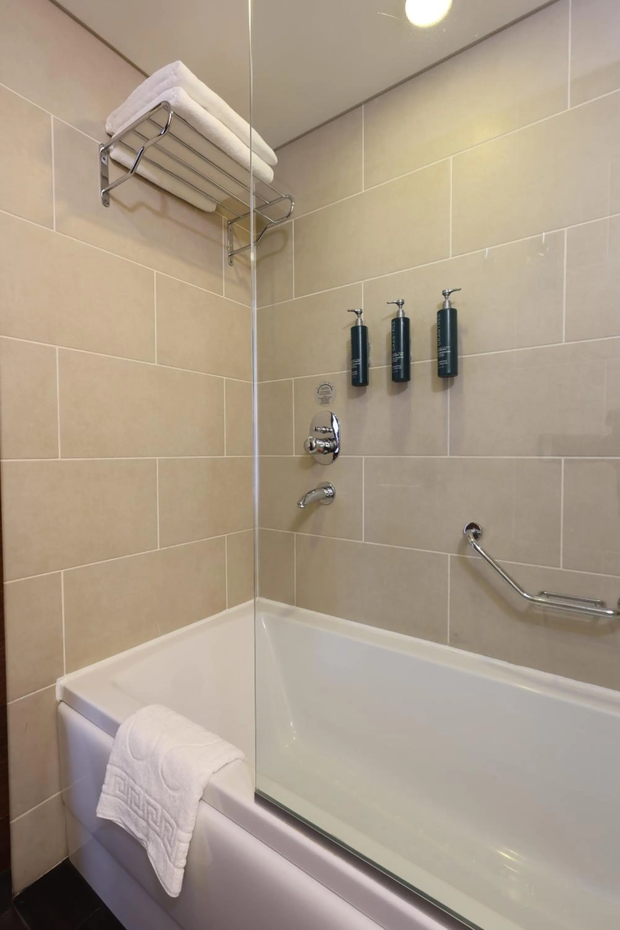 Queen Family Room with Sofa Bed in Hilton Garden Inn Konya