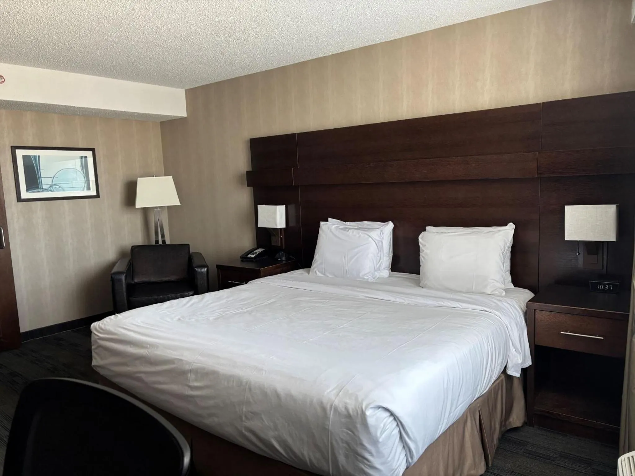 King Suite with City View - Non-smoking in Radisson Hotel Winnipeg Downtown