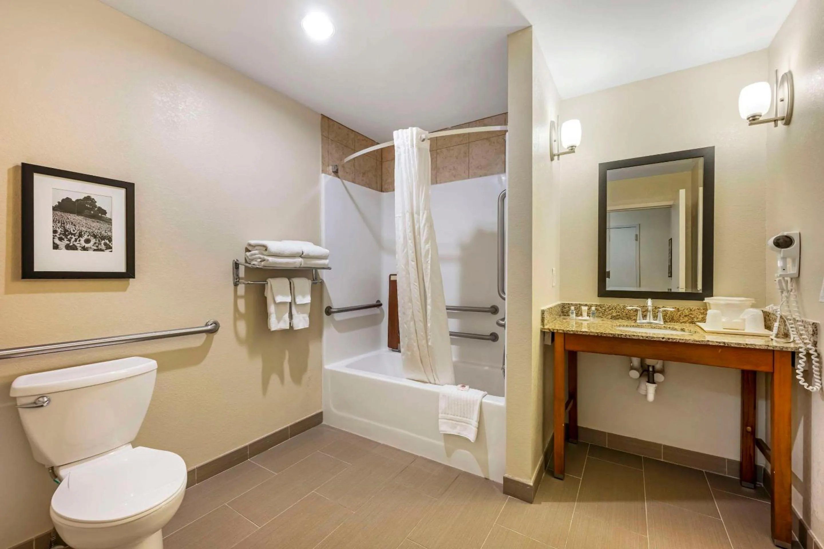 King Suite - Accessible/Non-Smoking in Comfort Suites East Lincoln - Mall Area