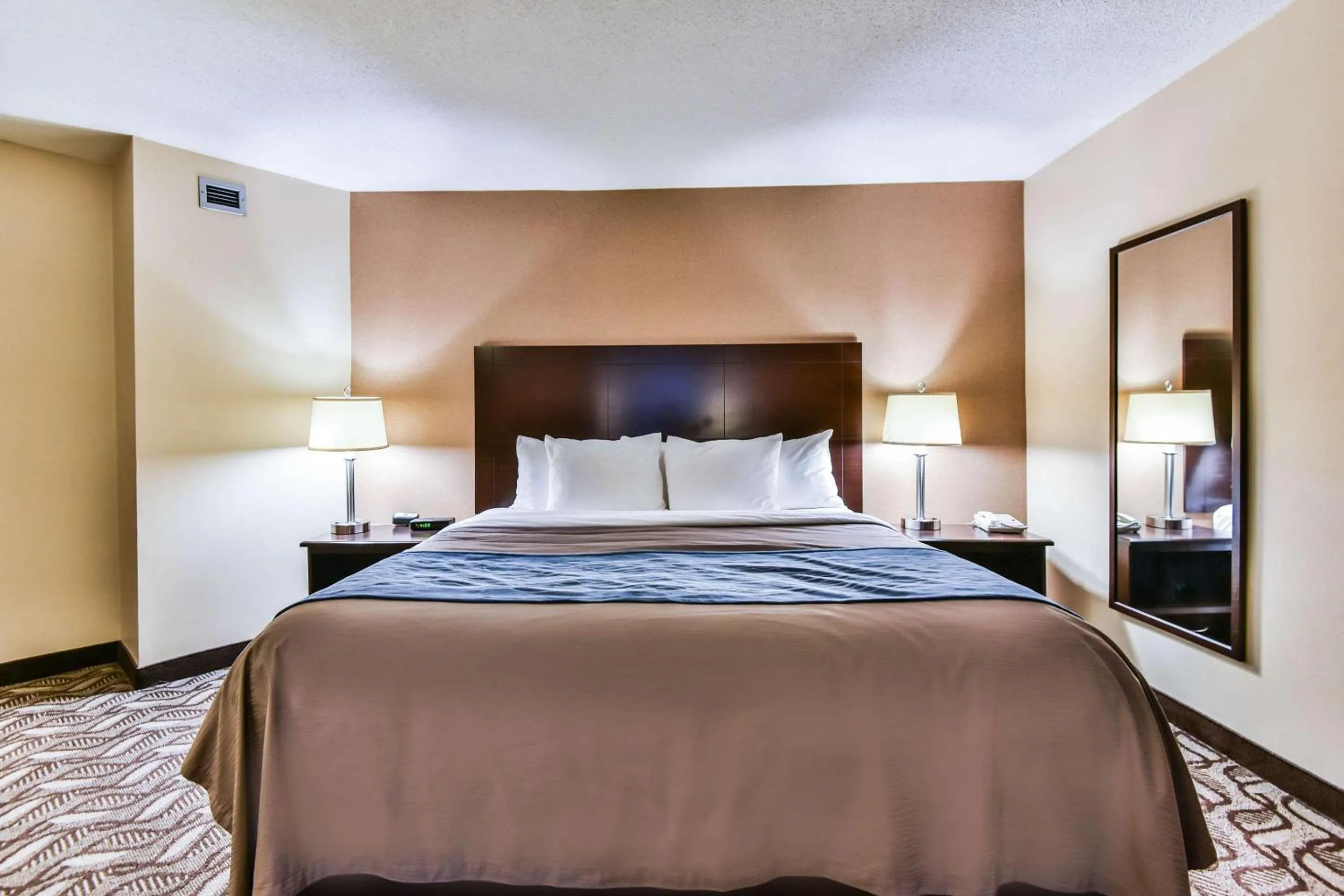 Queen Room - Upper Floor  / Not Pet Friendly in Comfort Inn & Suites Ambassador Bridge