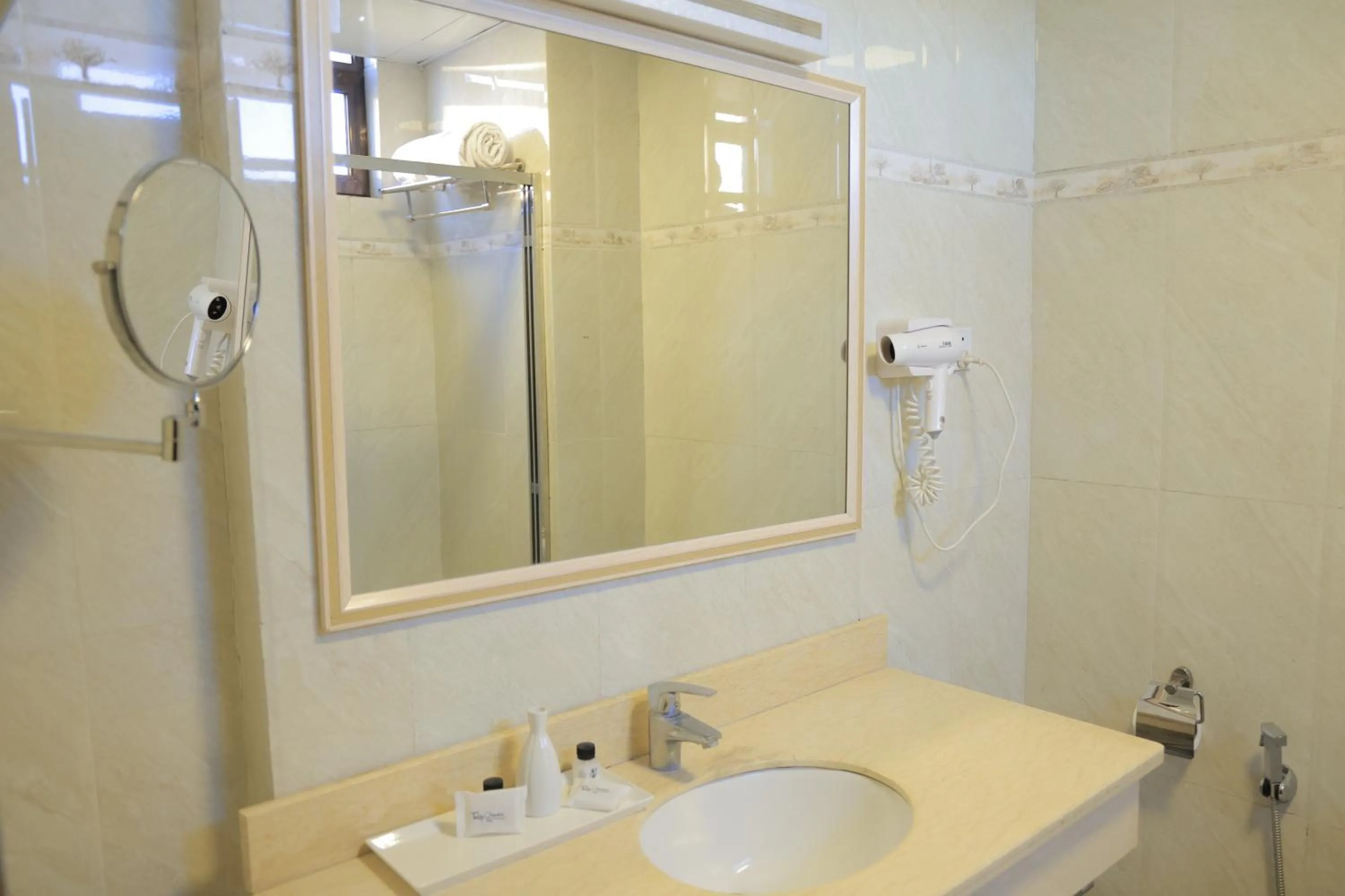 Standard Twin Room - single occupancy in Tolip Olympia Hotel