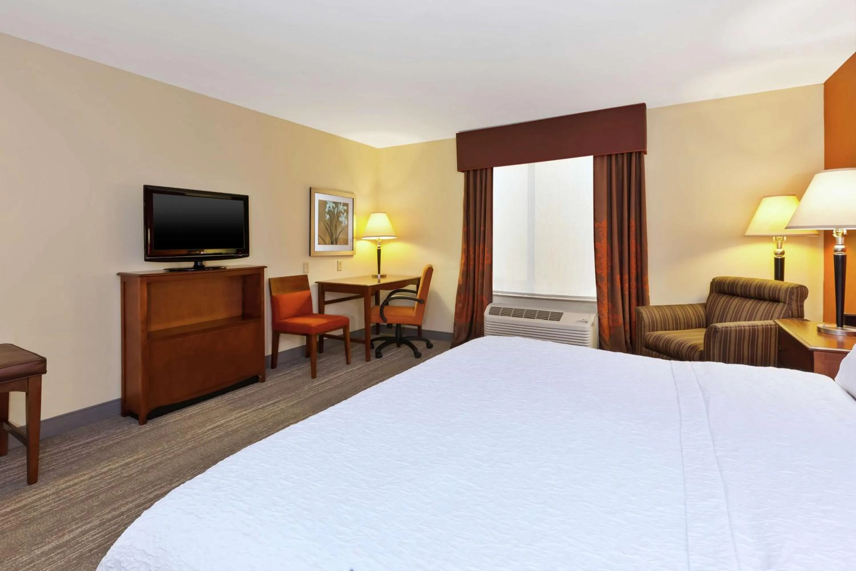 King Room with Accessible Tub - Mobility and Hearing Access/Non-Smoking in Hampton Inn & Suites Exmore - Eastern Shore