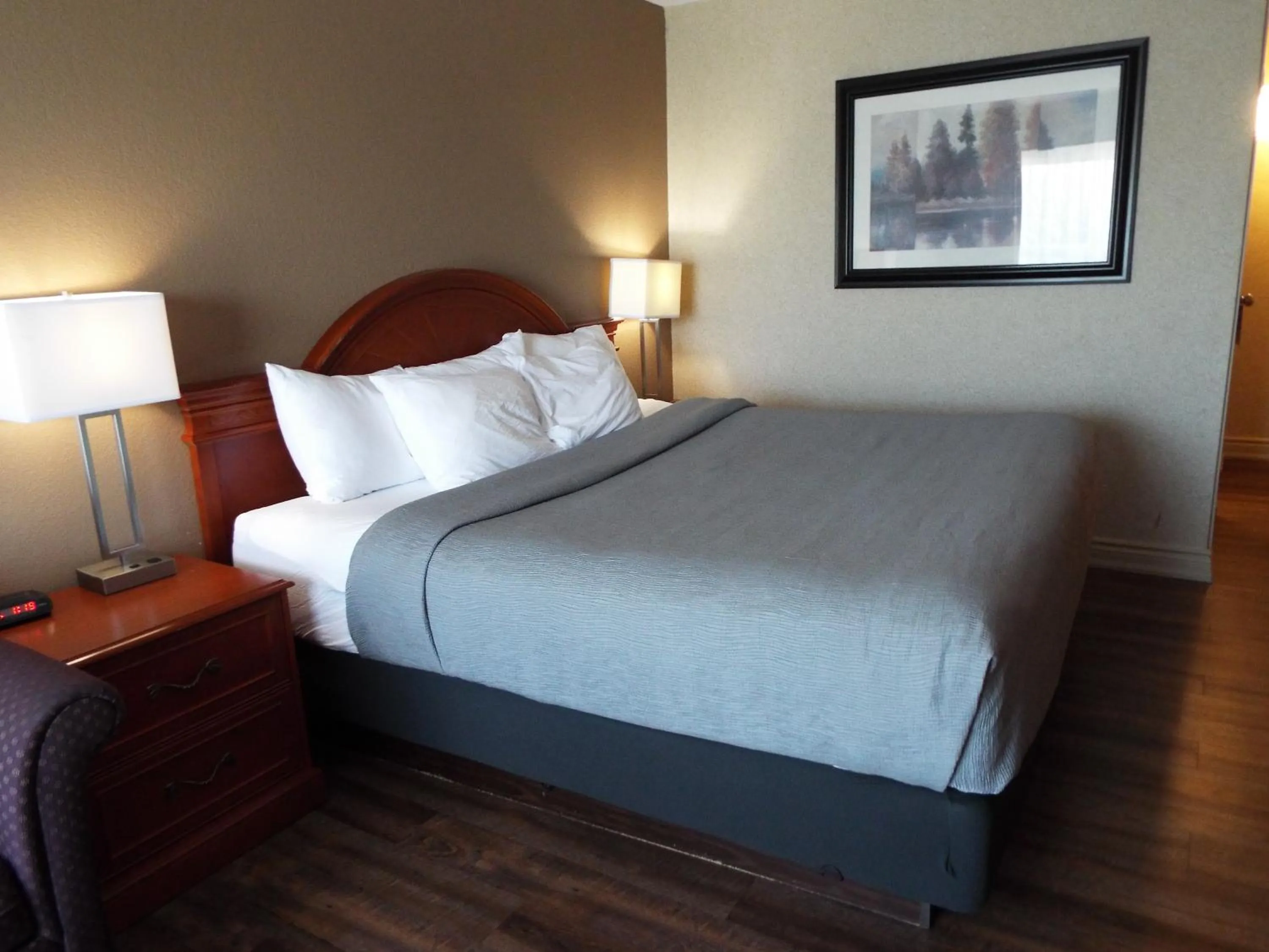 Superior King Room - Non-Smoking in Quality Inn