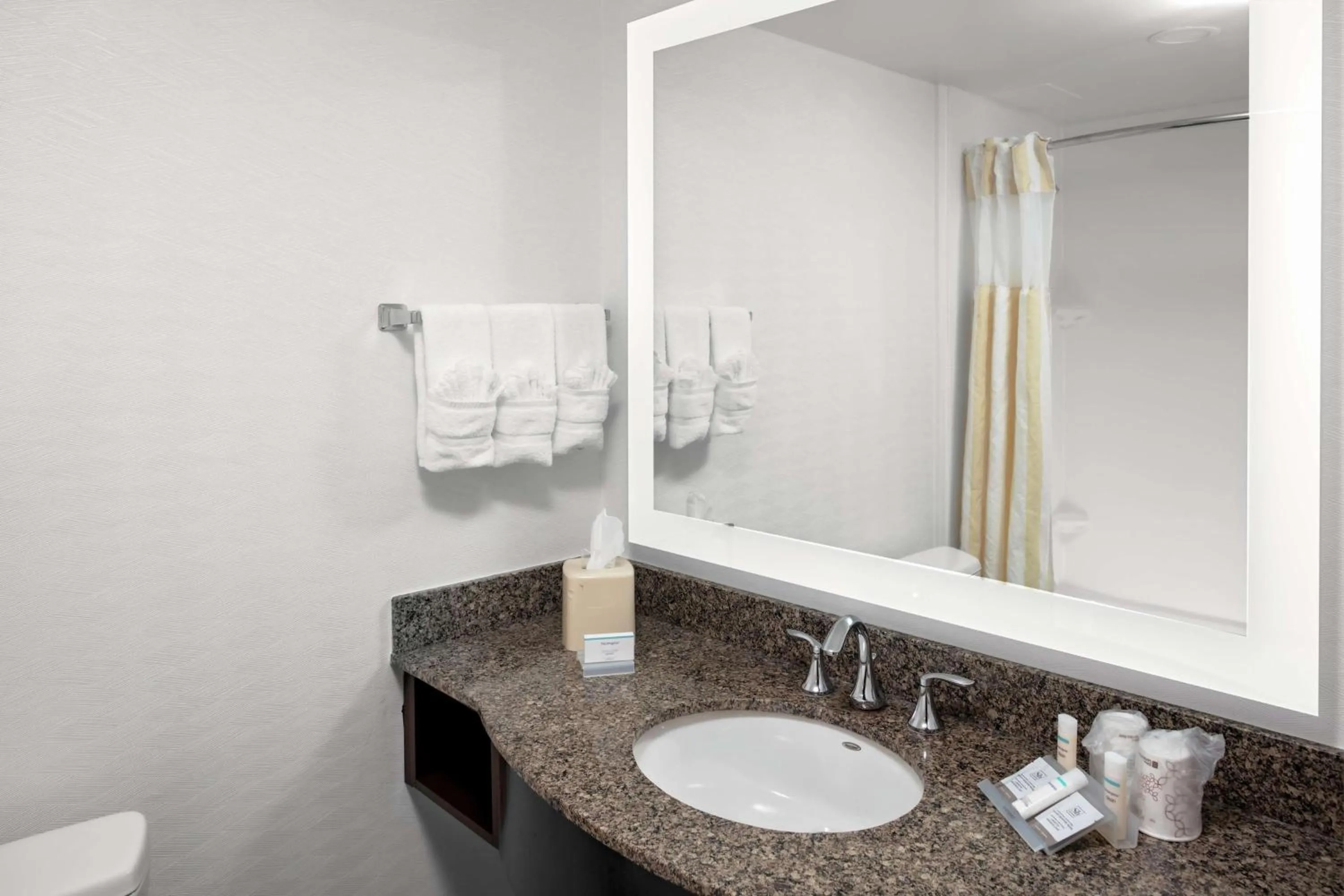 King Room in Hilton Garden Inn Atlanta Perimeter Center