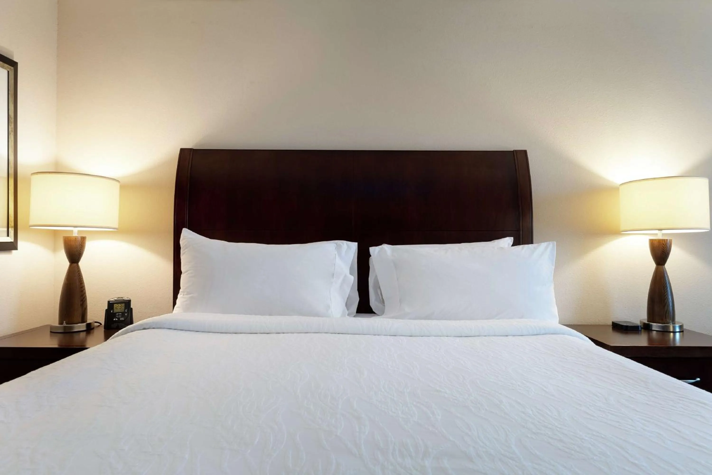 King Room with Tub - Mobility and Hearing Access in Hilton Garden Inn Mobile West I-65 Airport Boulevard