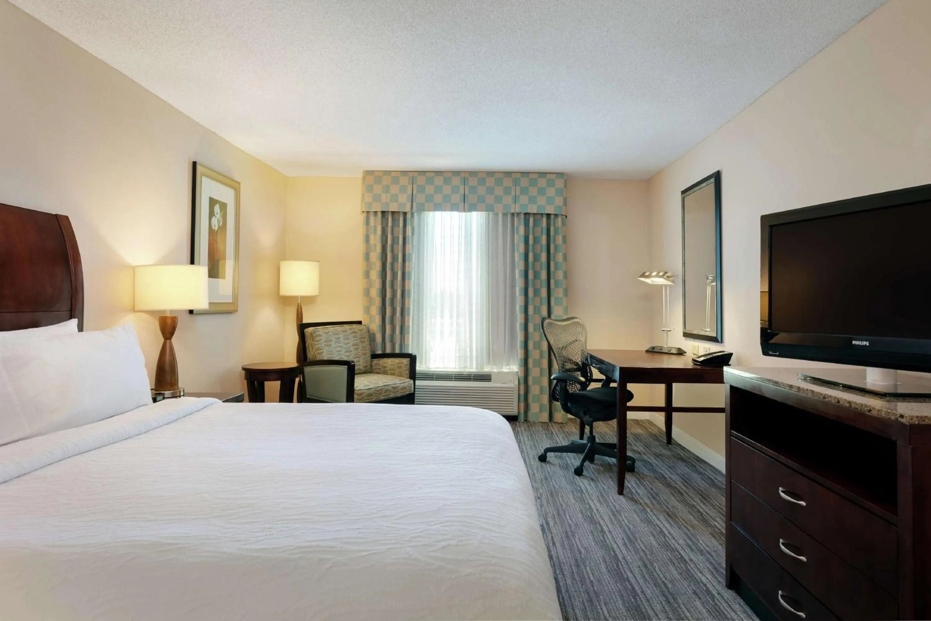 King Room with Tub - Mobility and Hearing Access in Hilton Garden Inn Mobile West I-65 Airport Boulevard