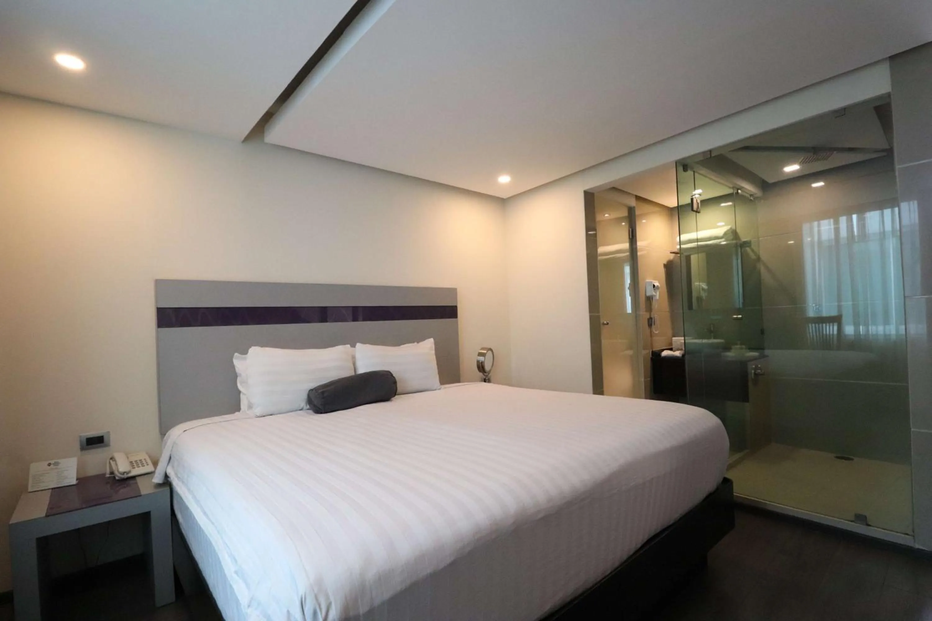 King Suite - single occupancy in Best Western Plus Metepec & Suites