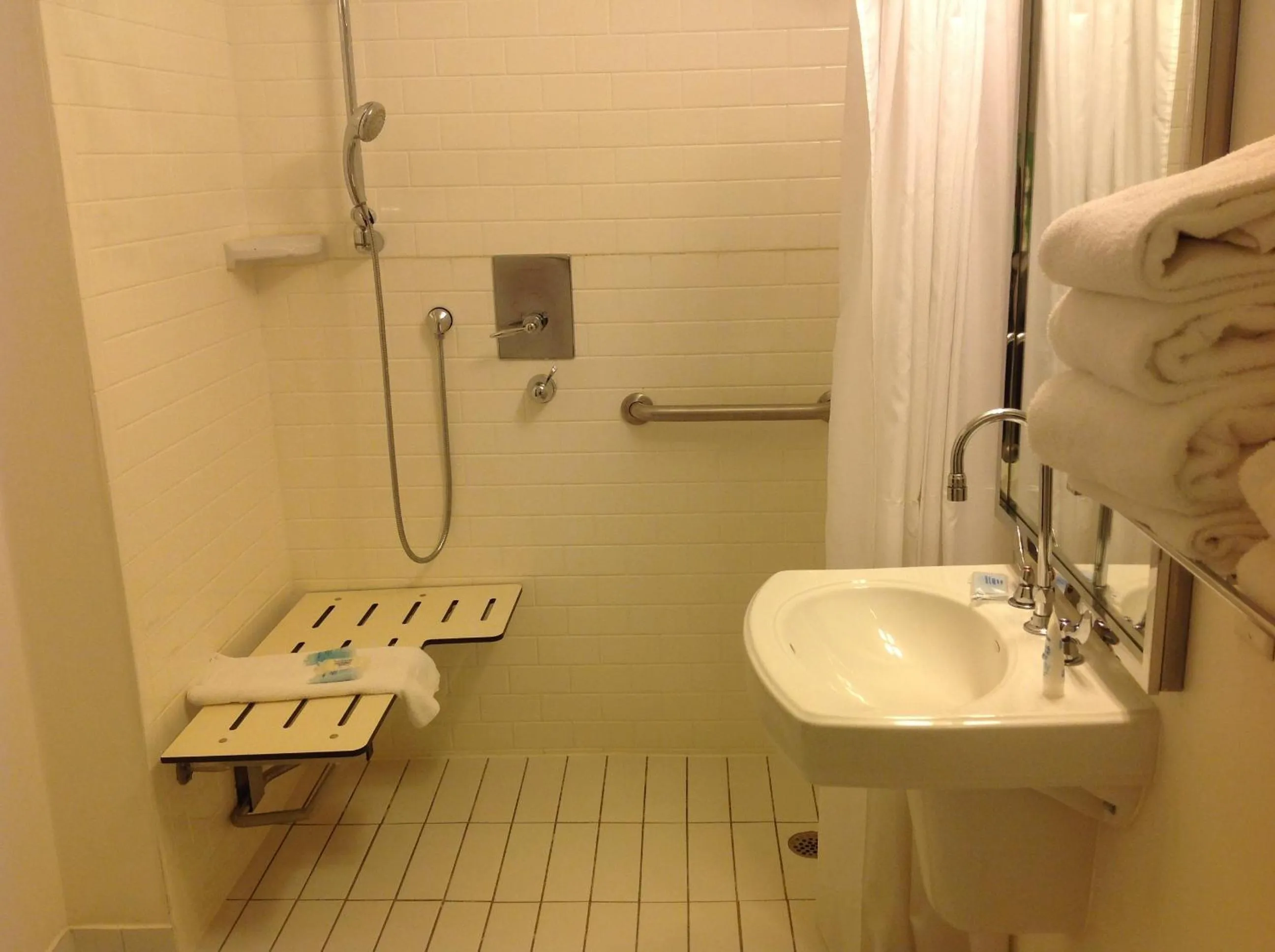 King Room - Disability Access in Wyndham Garden Manassas