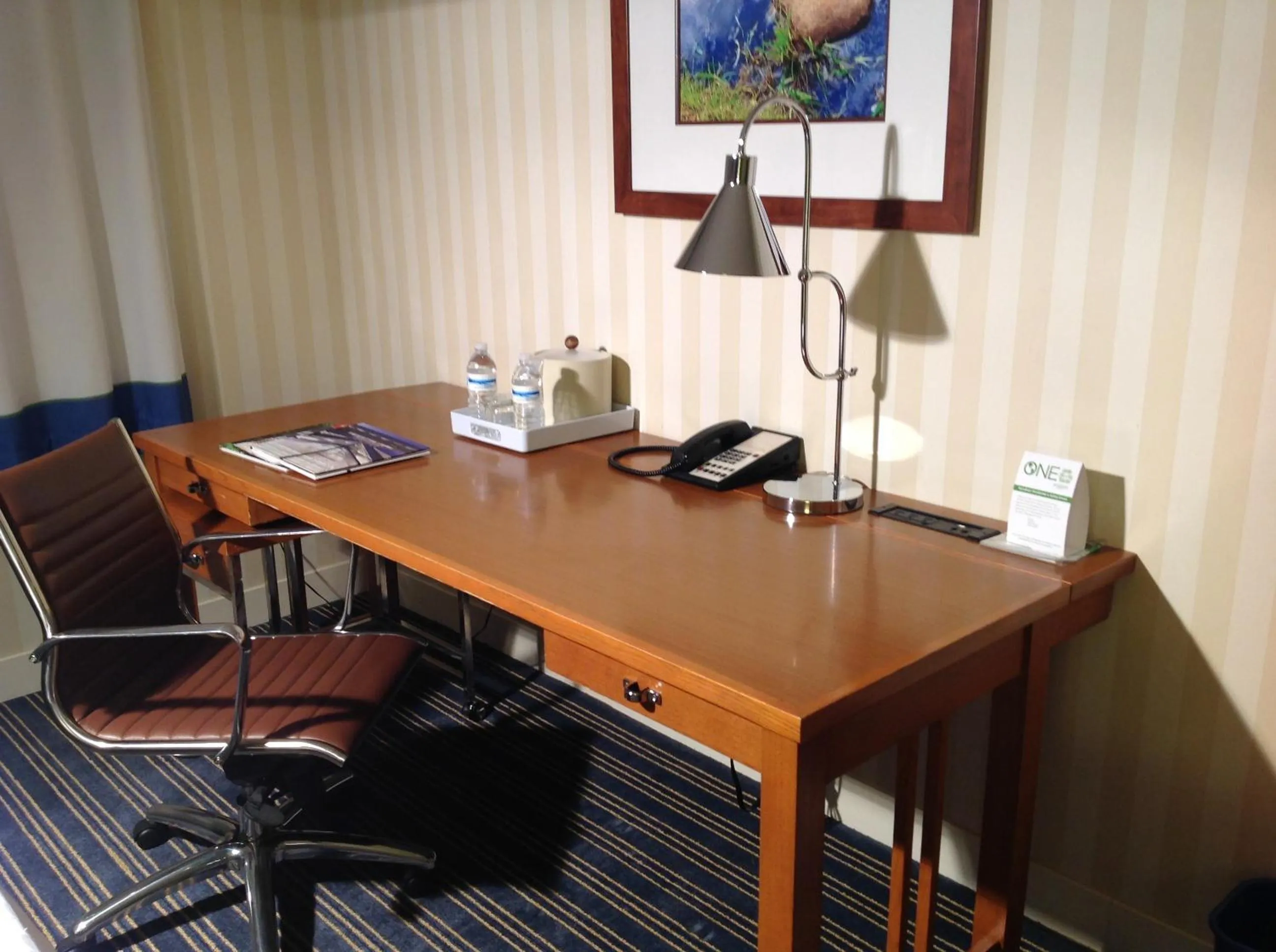 Standard King Room in Wyndham Garden Manassas