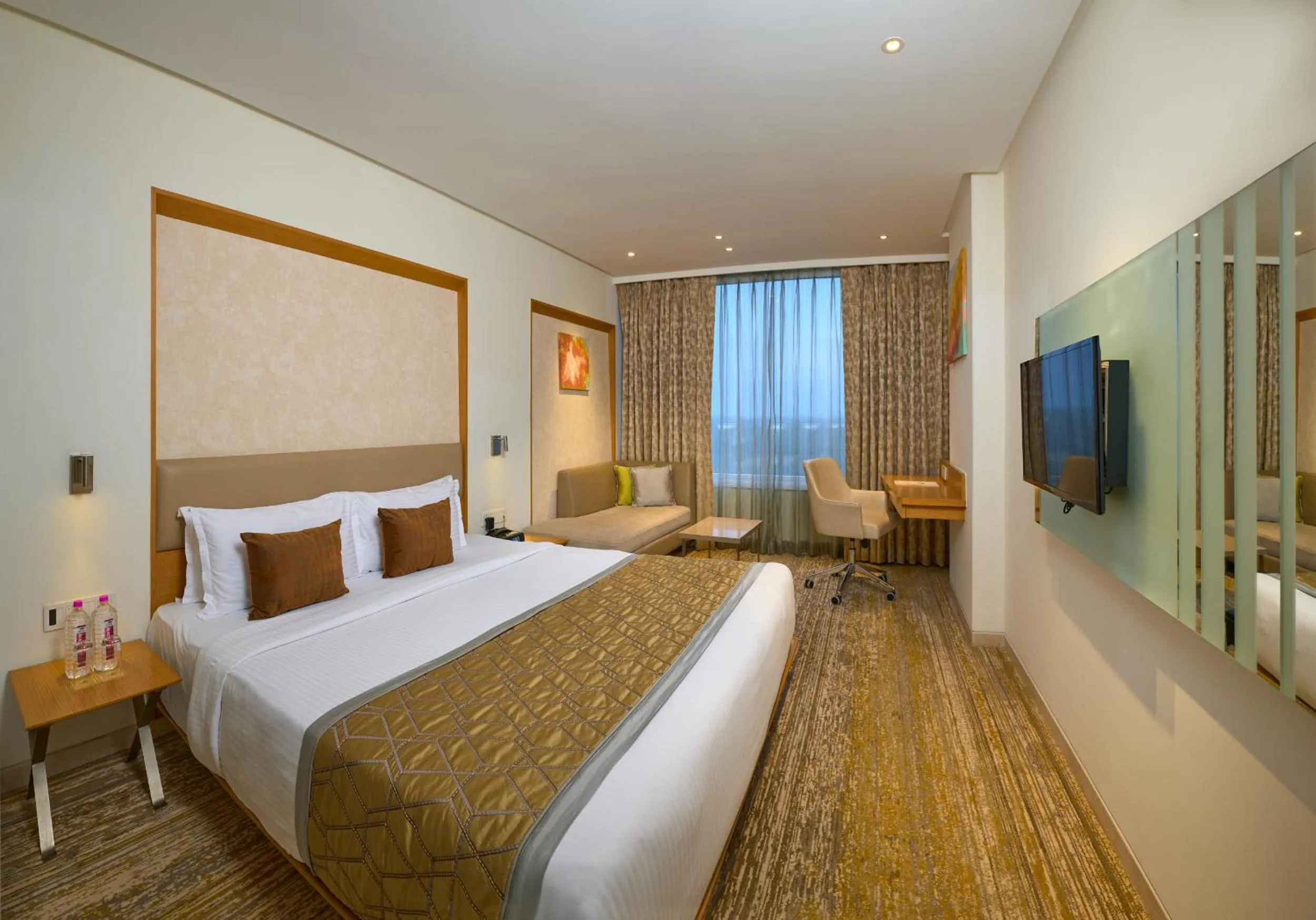 Grande Room  - single occupancy in Sayaji Vadodara