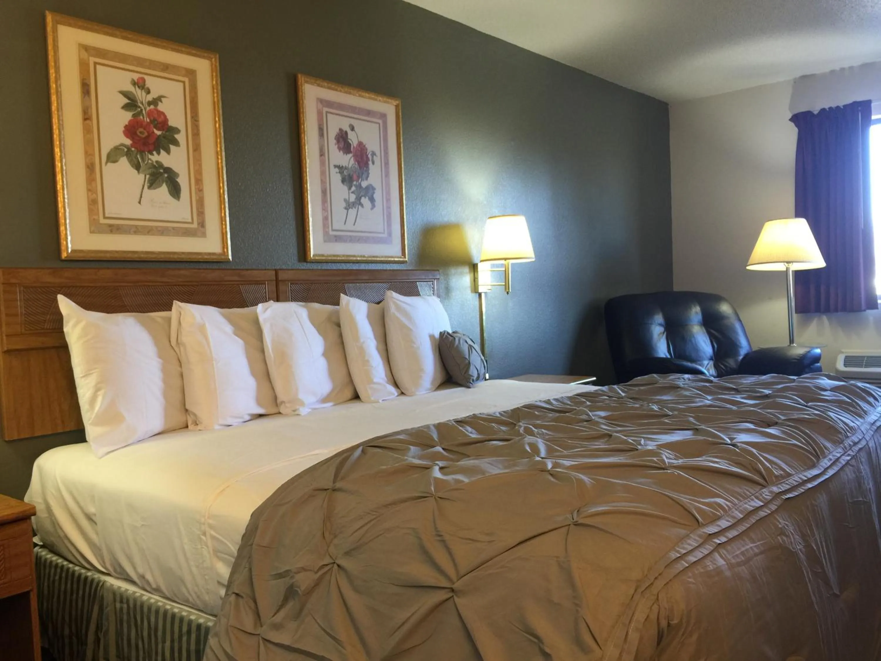 King Room in Amerihost Inn & Suites Fulton