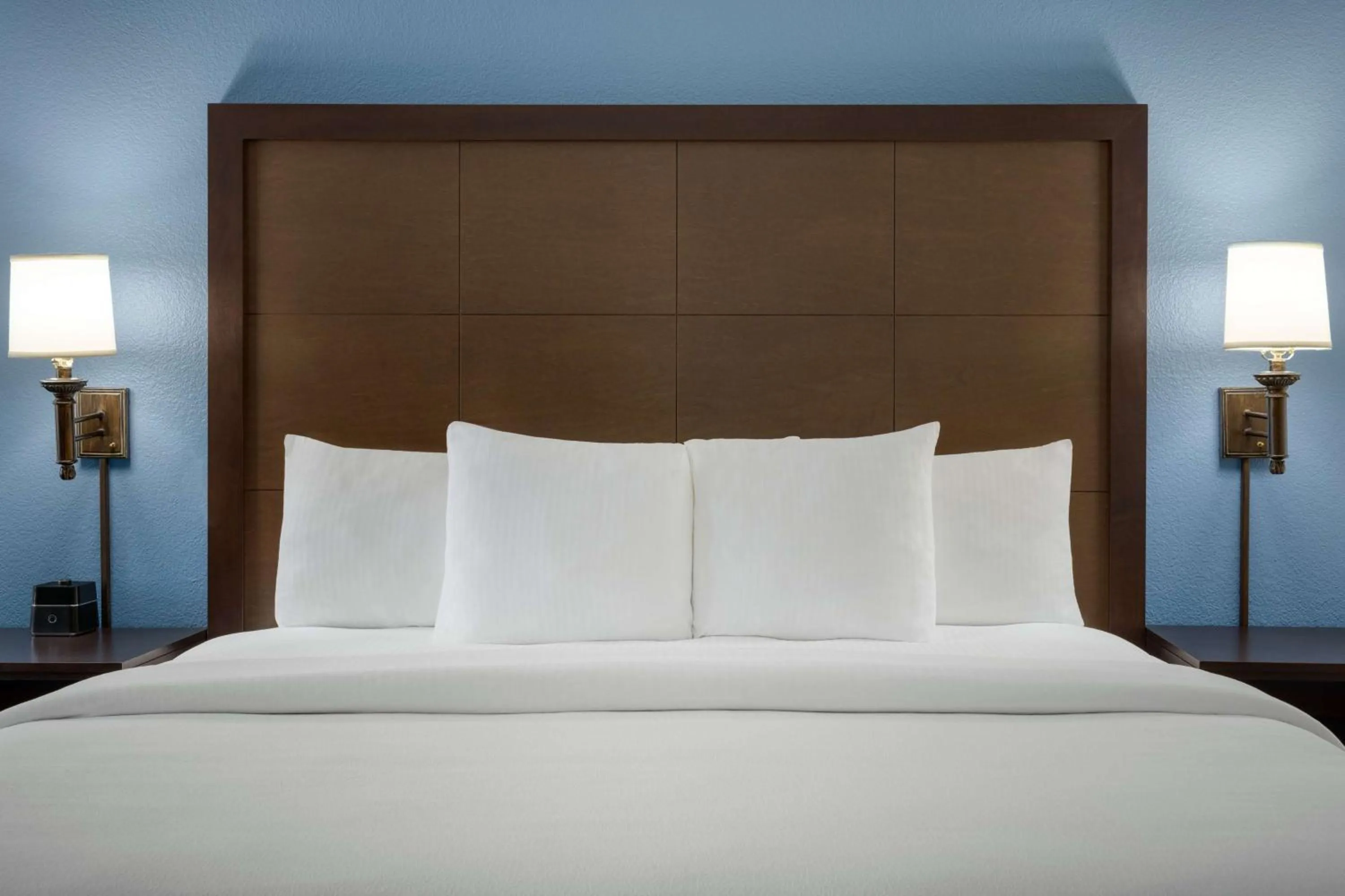 Deluxe King Suite - Non-Smoking in La Quinta by Wyndham Springfield Airport Plaza