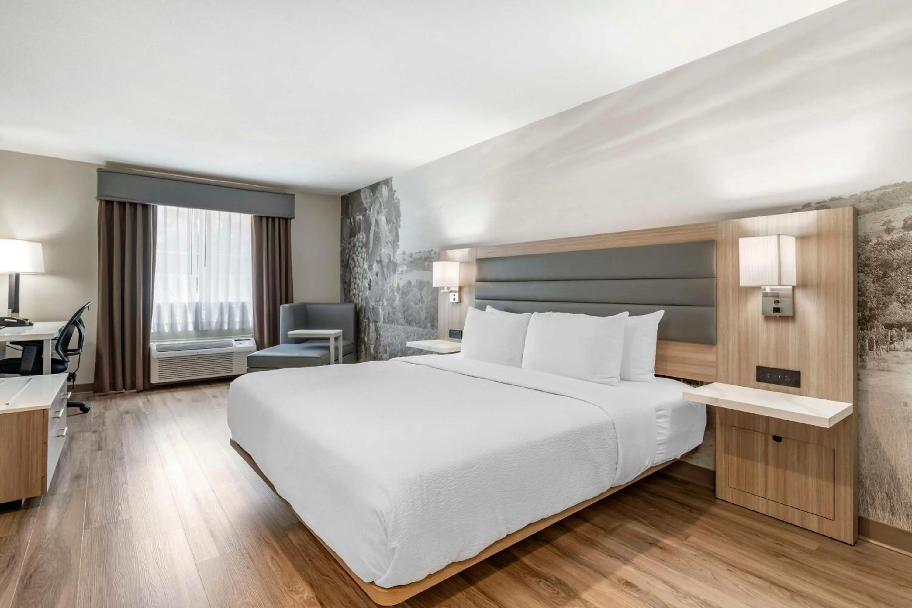 Standard King Room in Best Western Plus Vineyard Inn