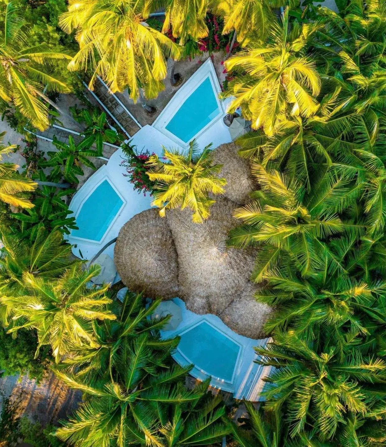 Blue Moon Resort Blue Moon Resort