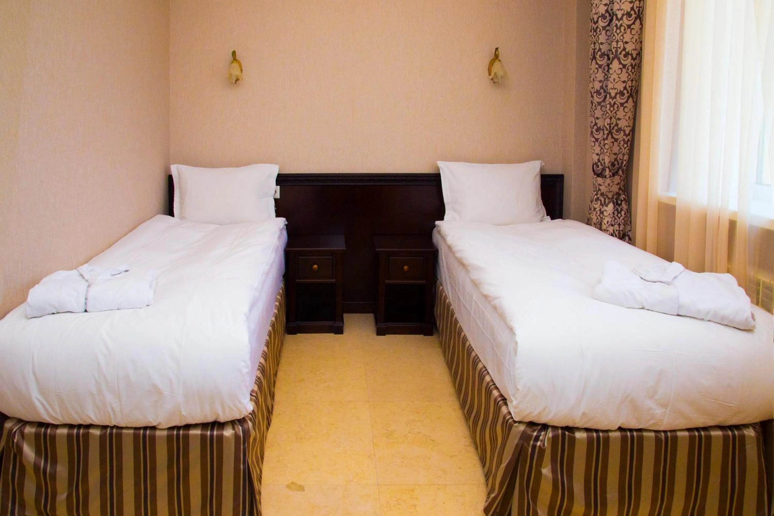 Standard Twin Room - single occupancy in Royal Petrol Hotel