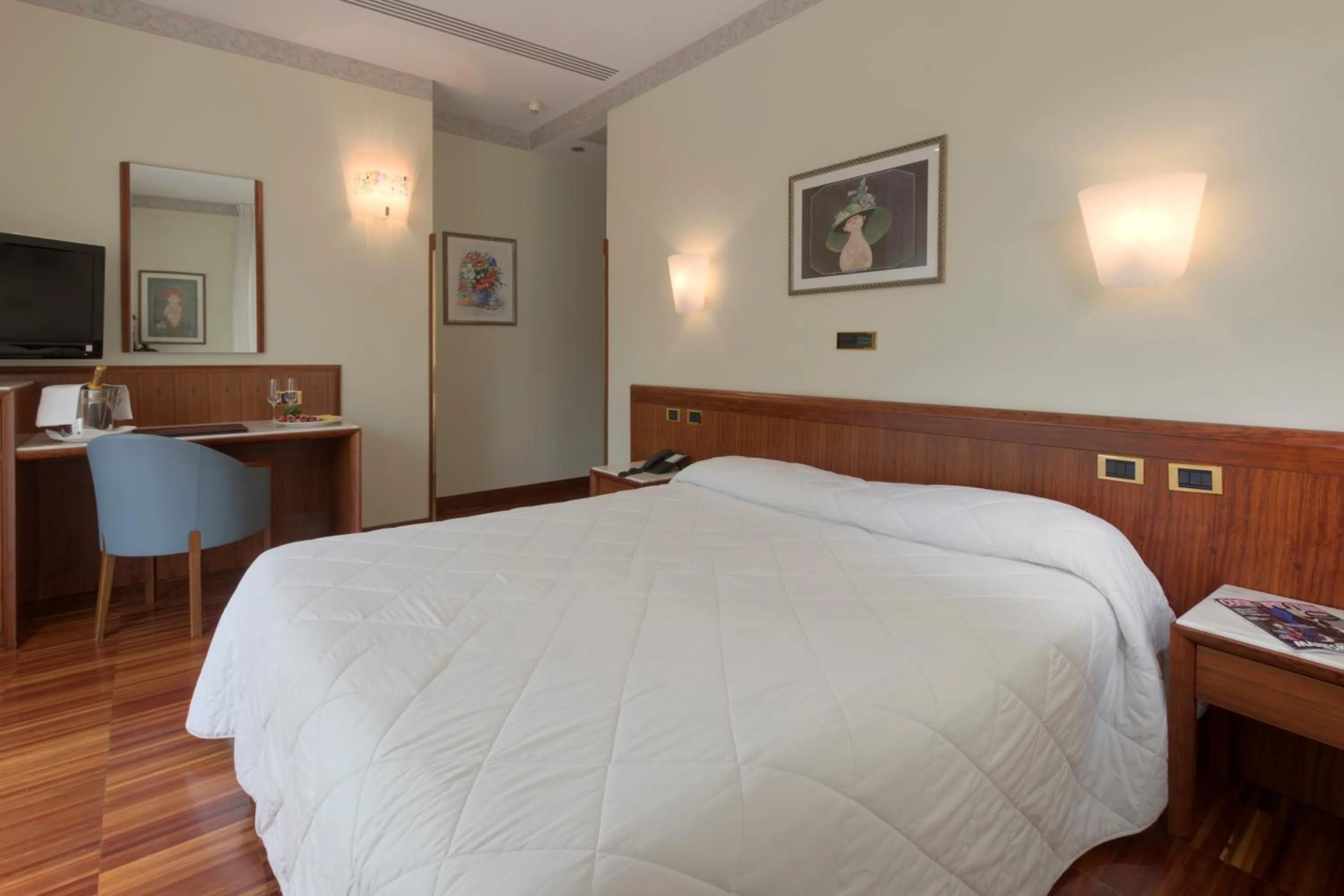 Double or Twin Room - single occupancy in Palace Hotel